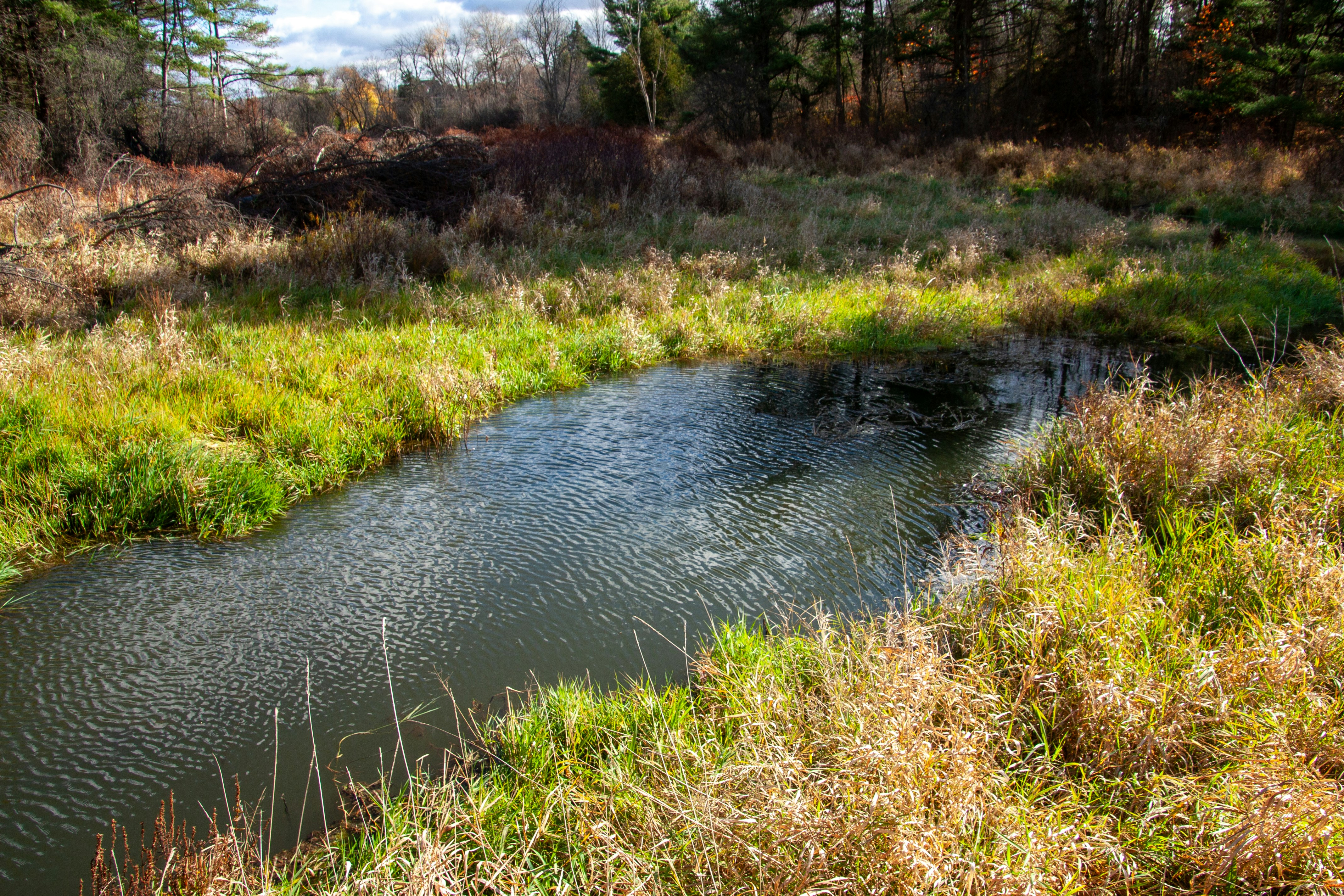 Photo by anthonyaird