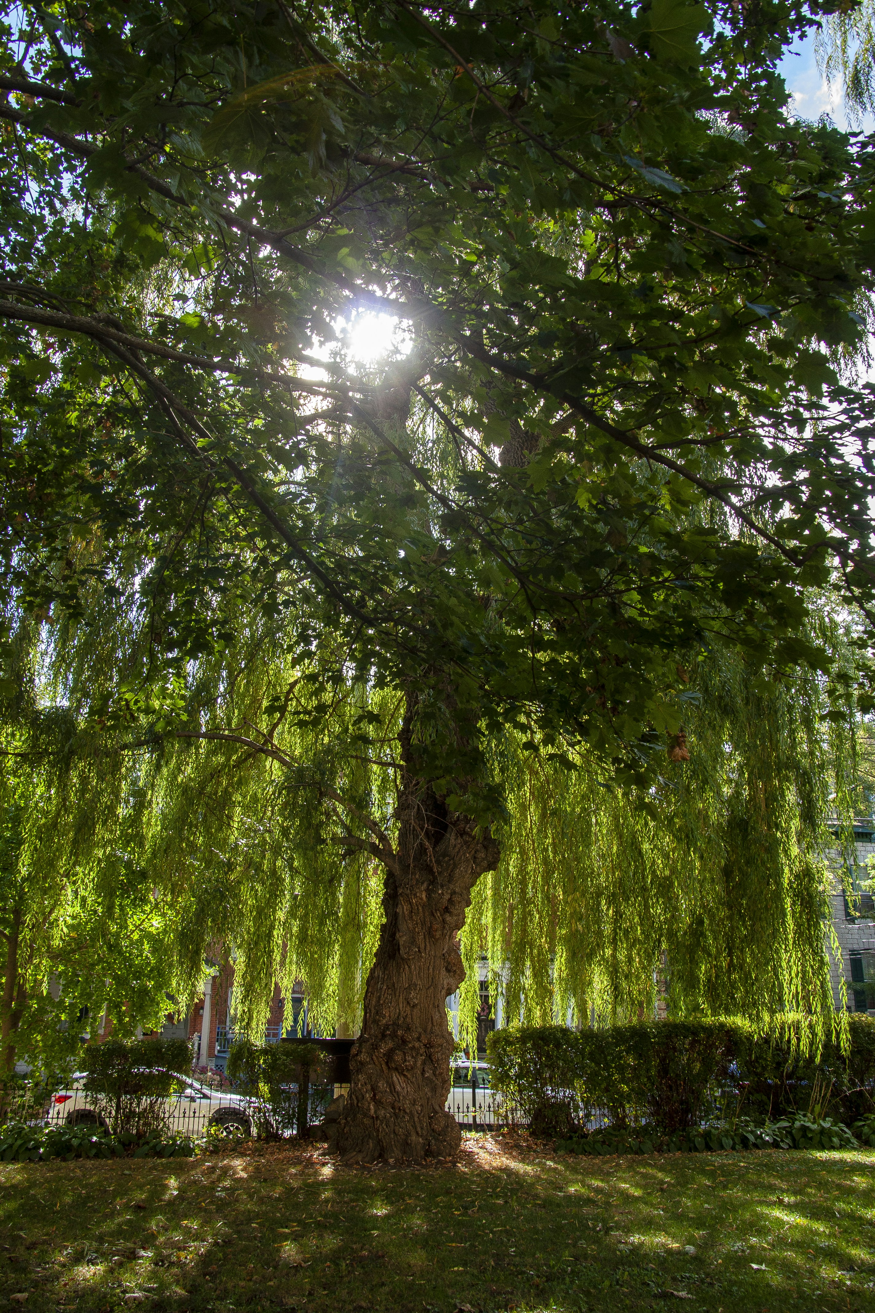 Photo by anthonyaird