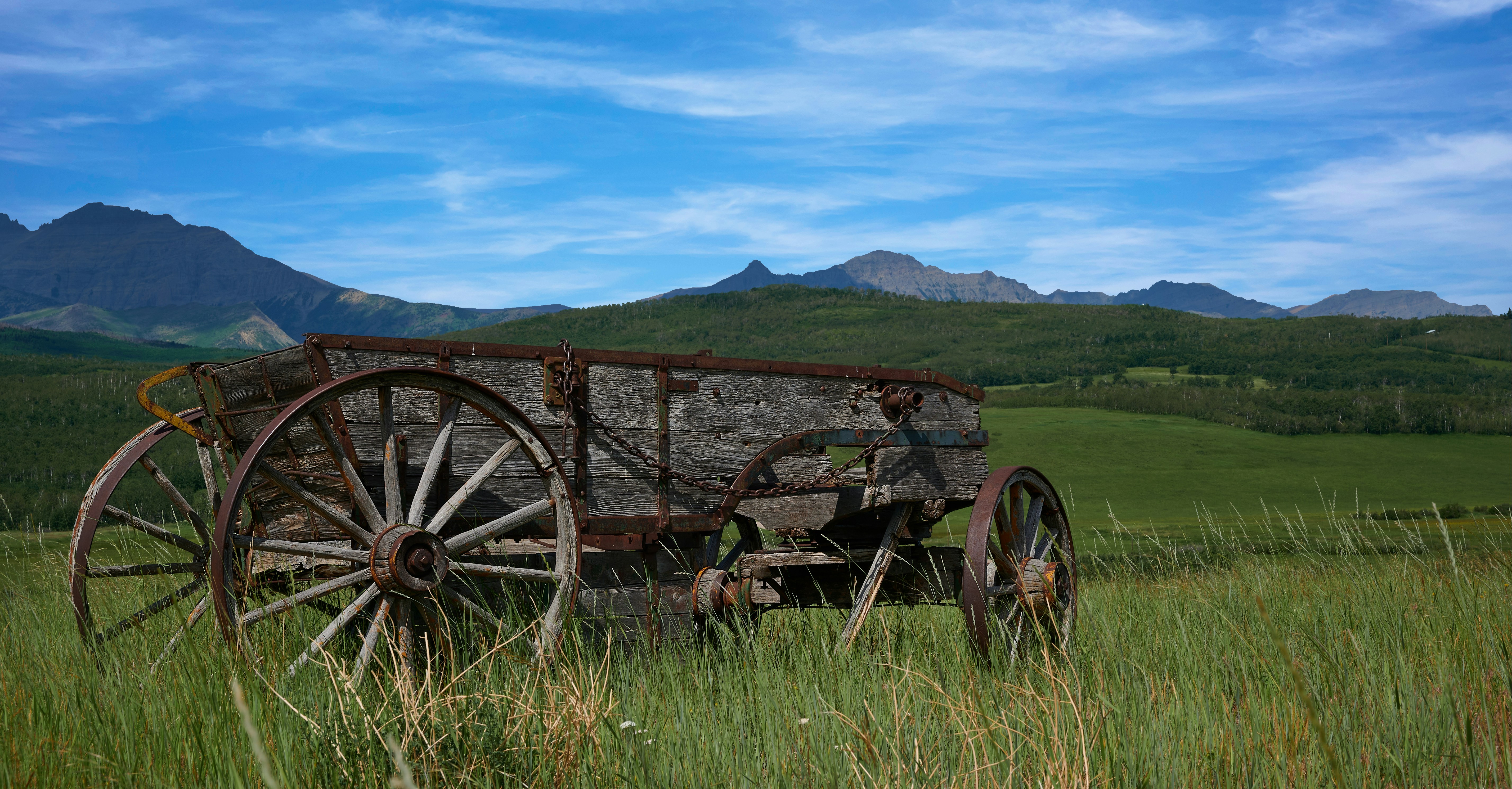 An old wagon sits in a lush green field.