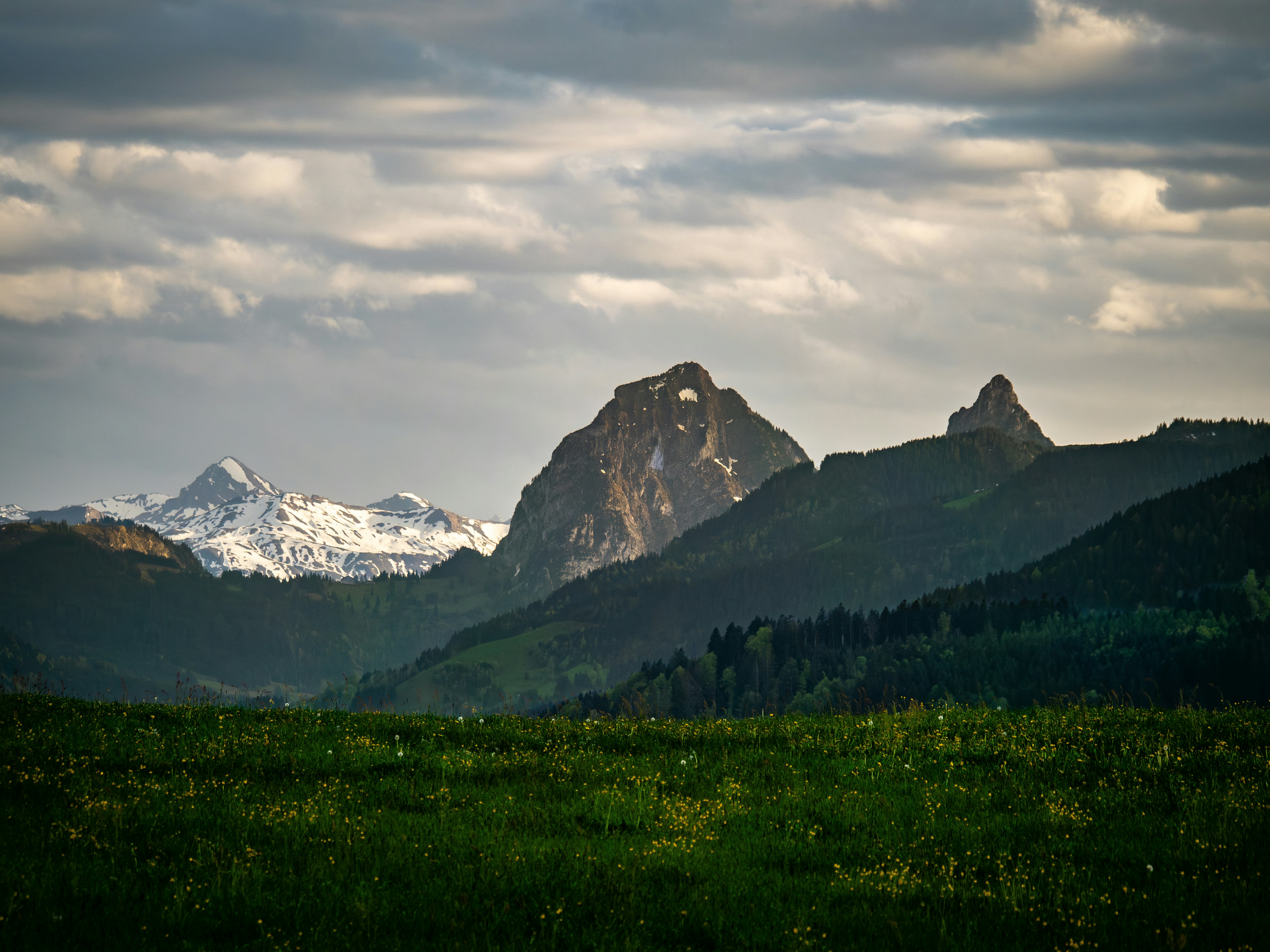 Photo by poli_graphy