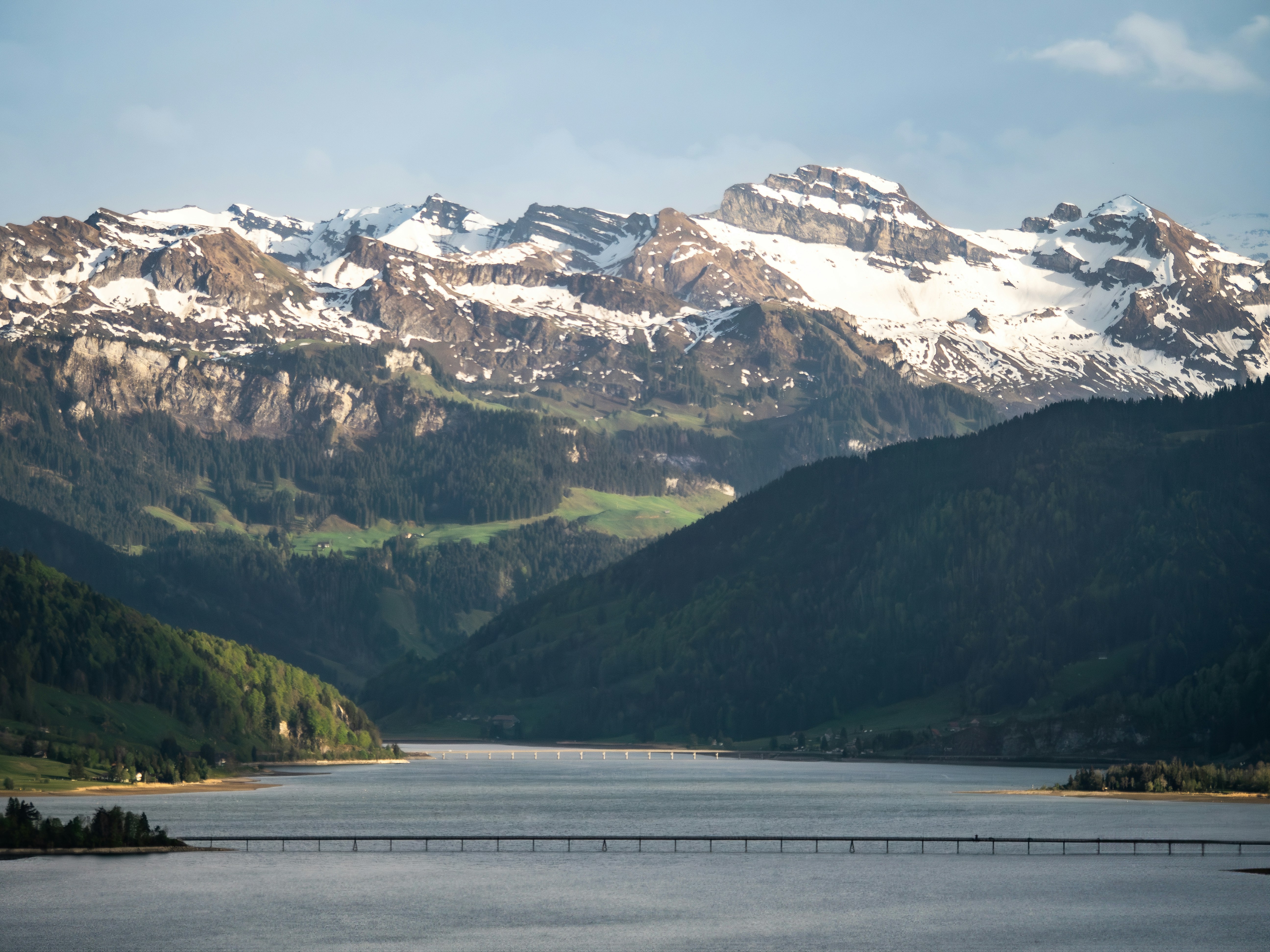 Photo by poli_graphy