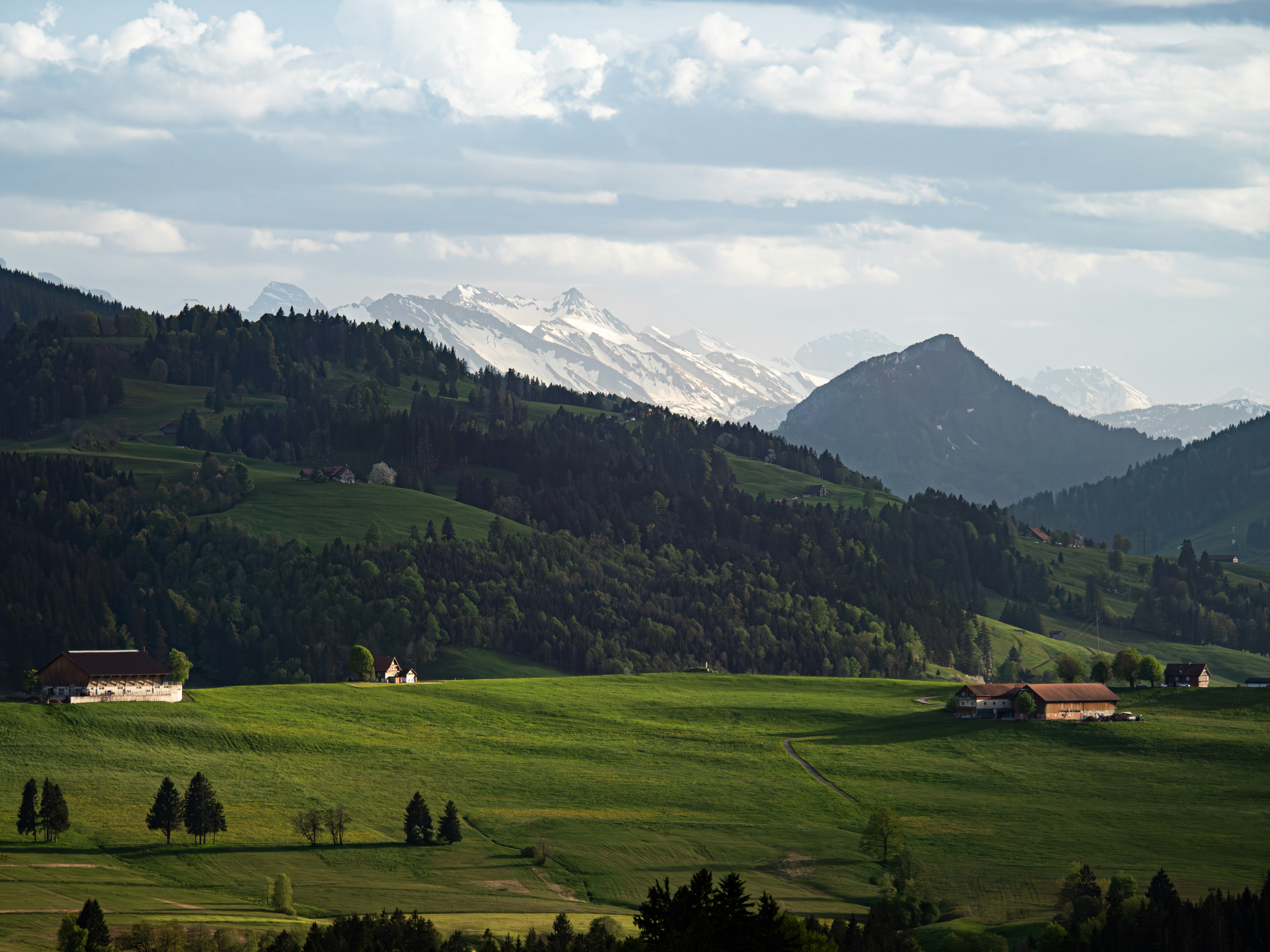 Photo by poli_graphy