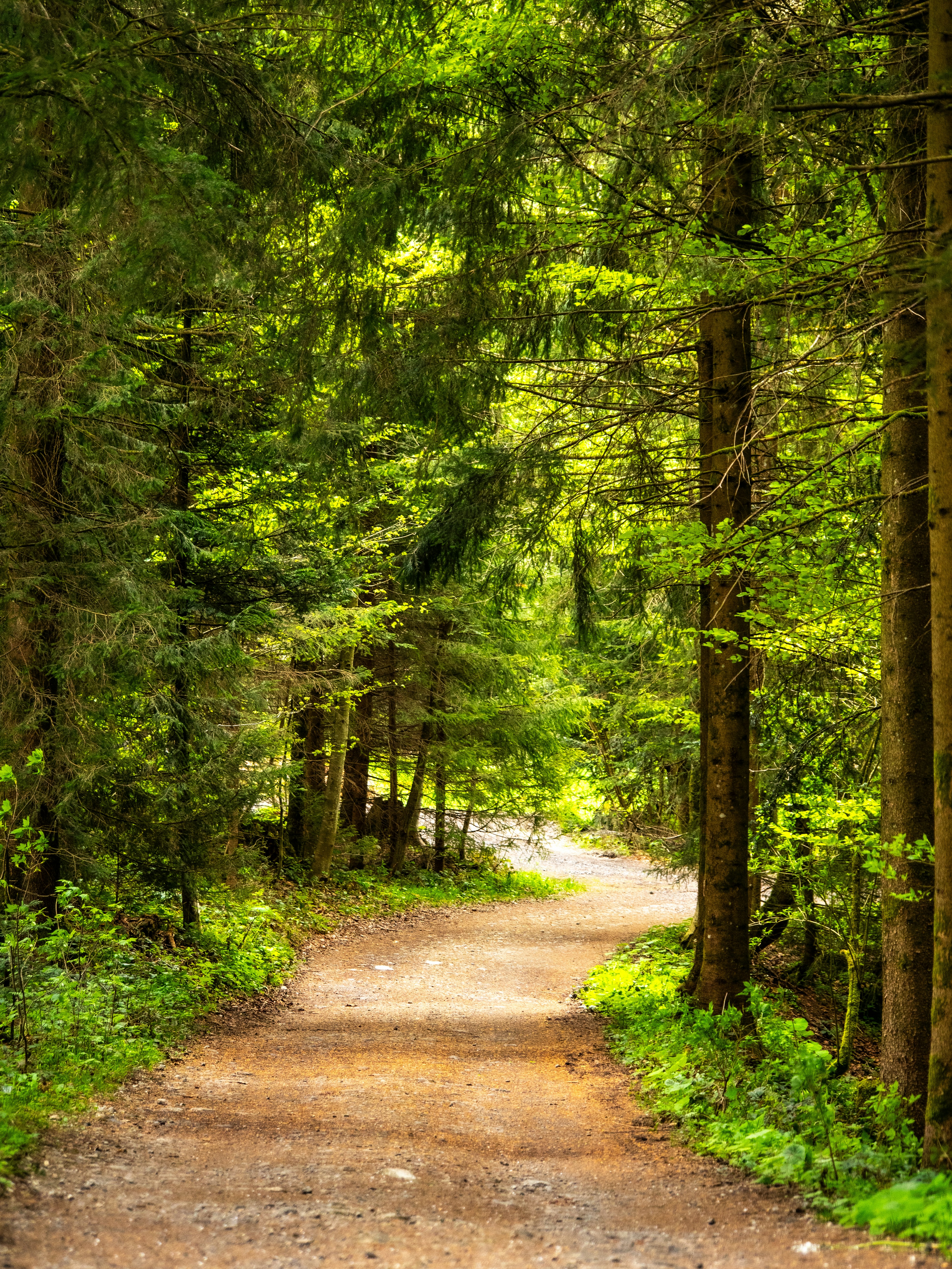 Photo by poli_graphy