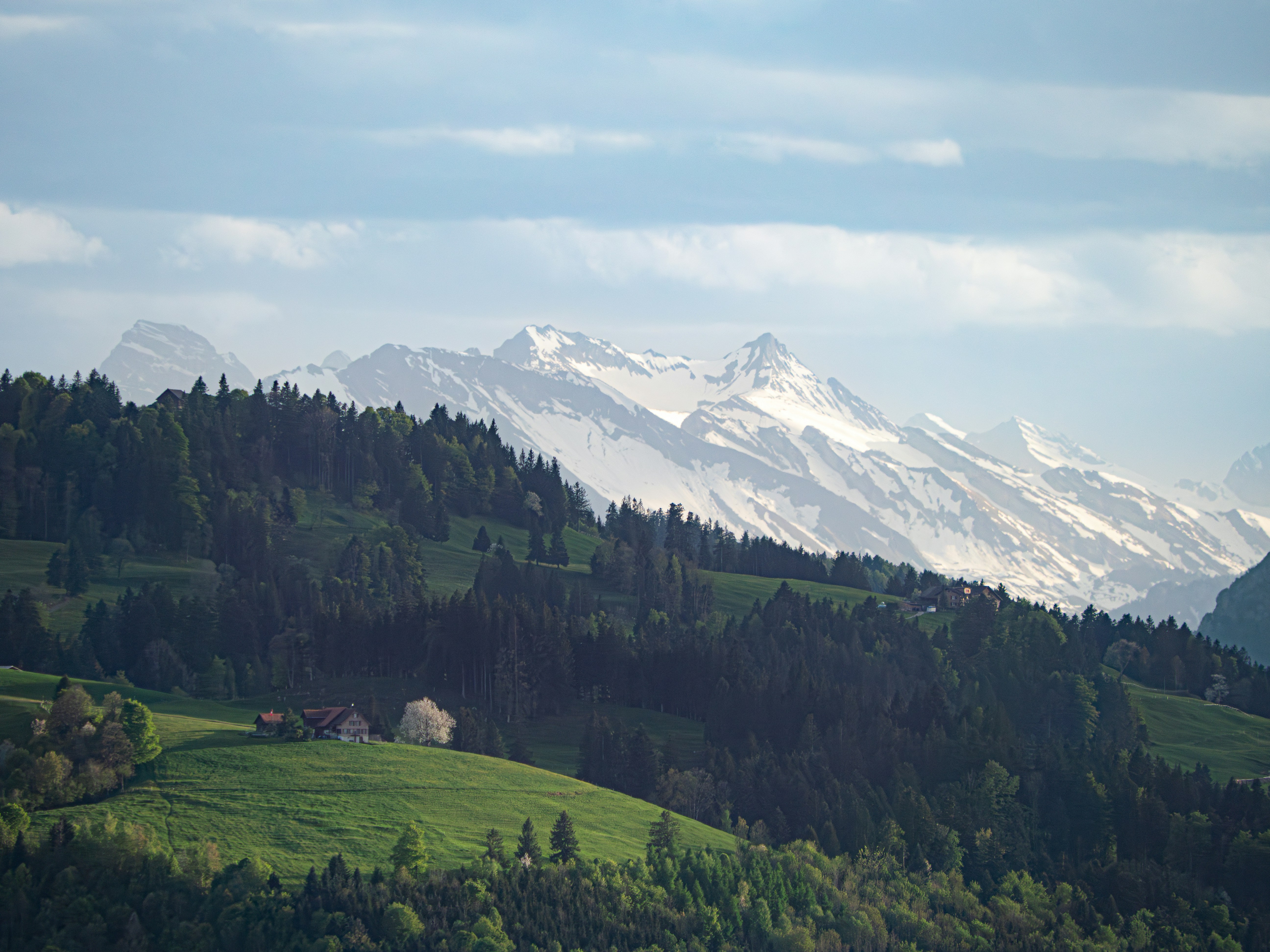 Photo by poli_graphy