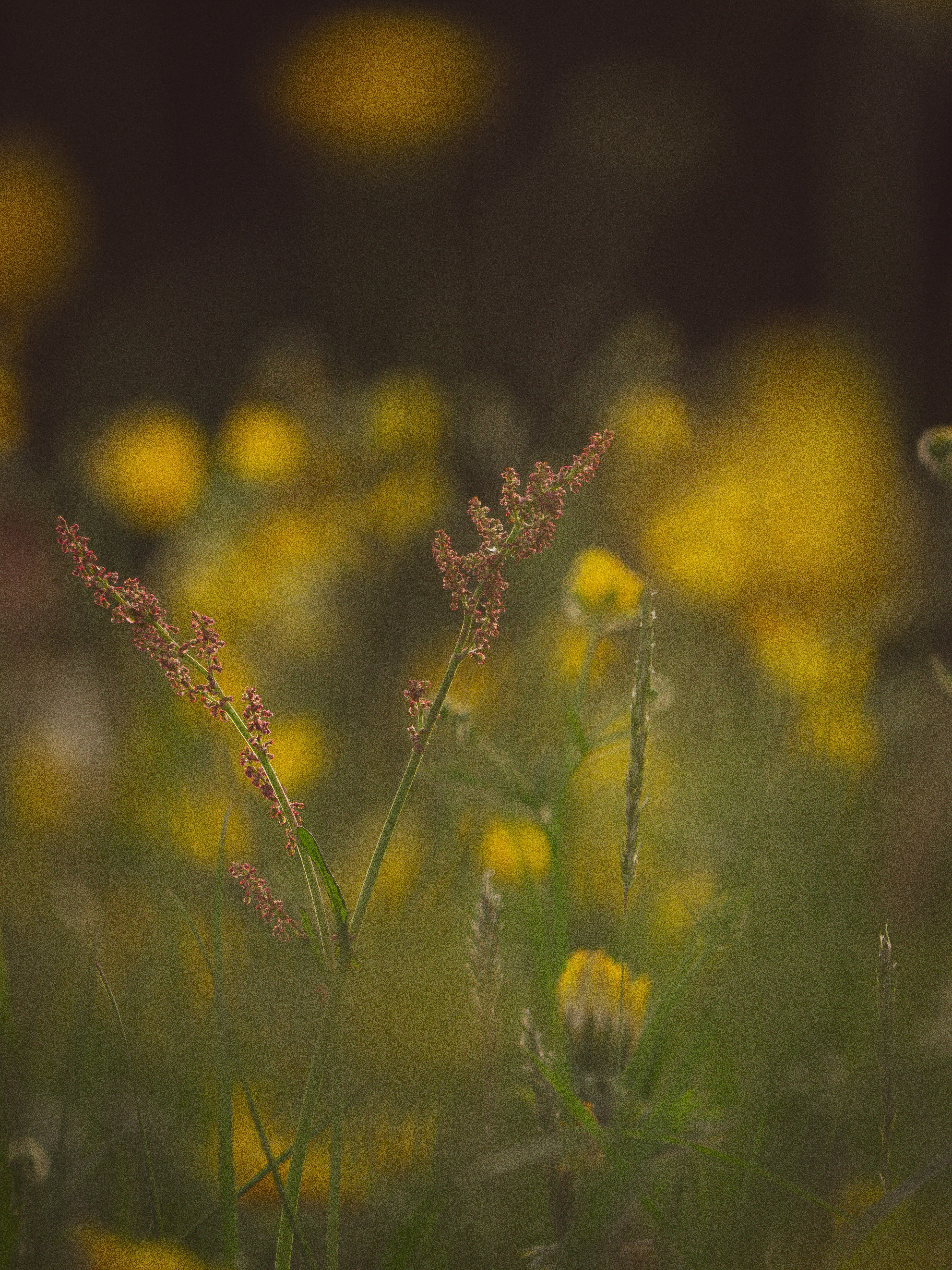 Photo by poli_graphy