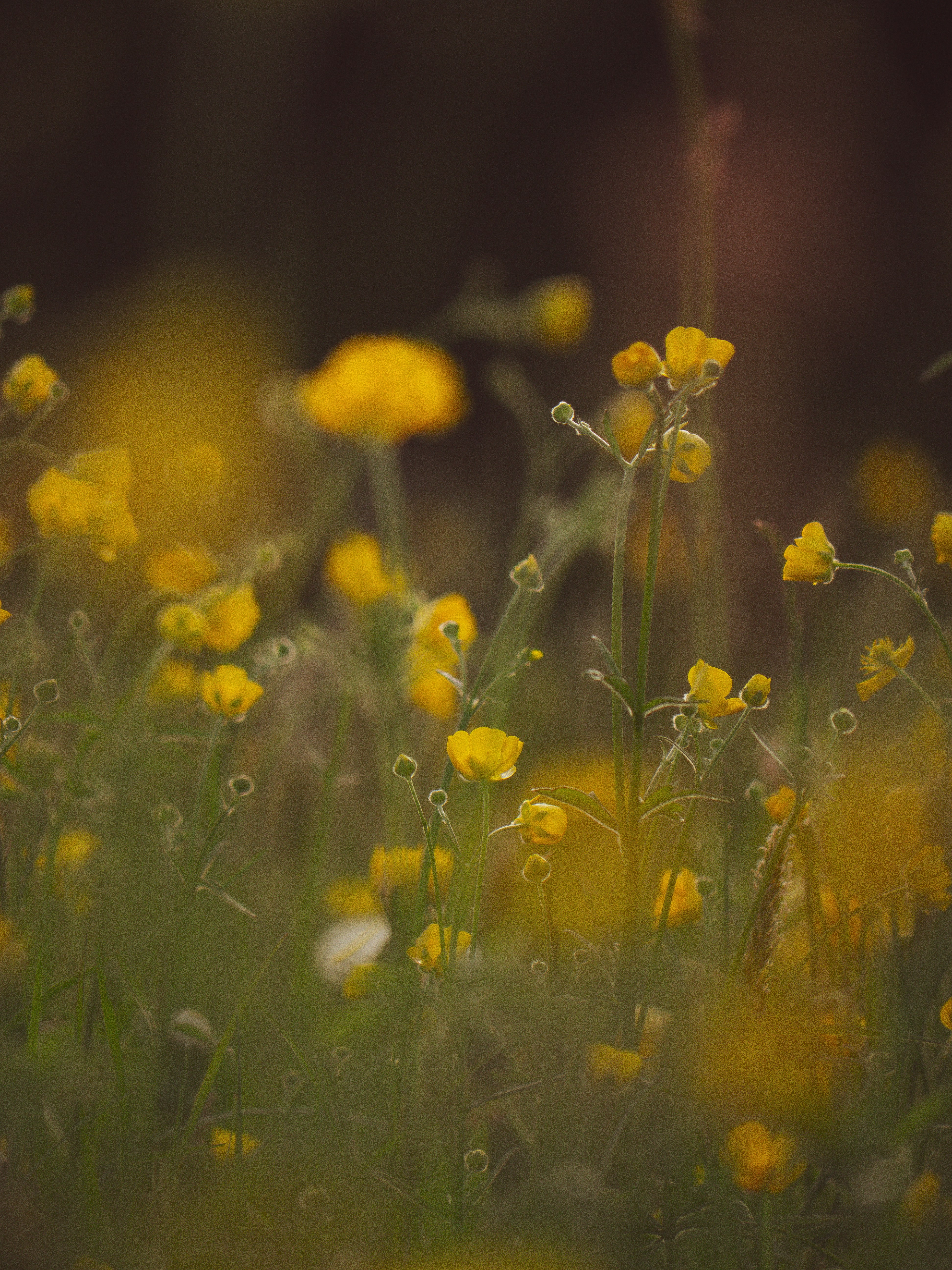 Photo by poli_graphy