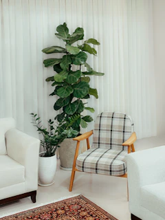 An elegant interior features plants and cozy furniture