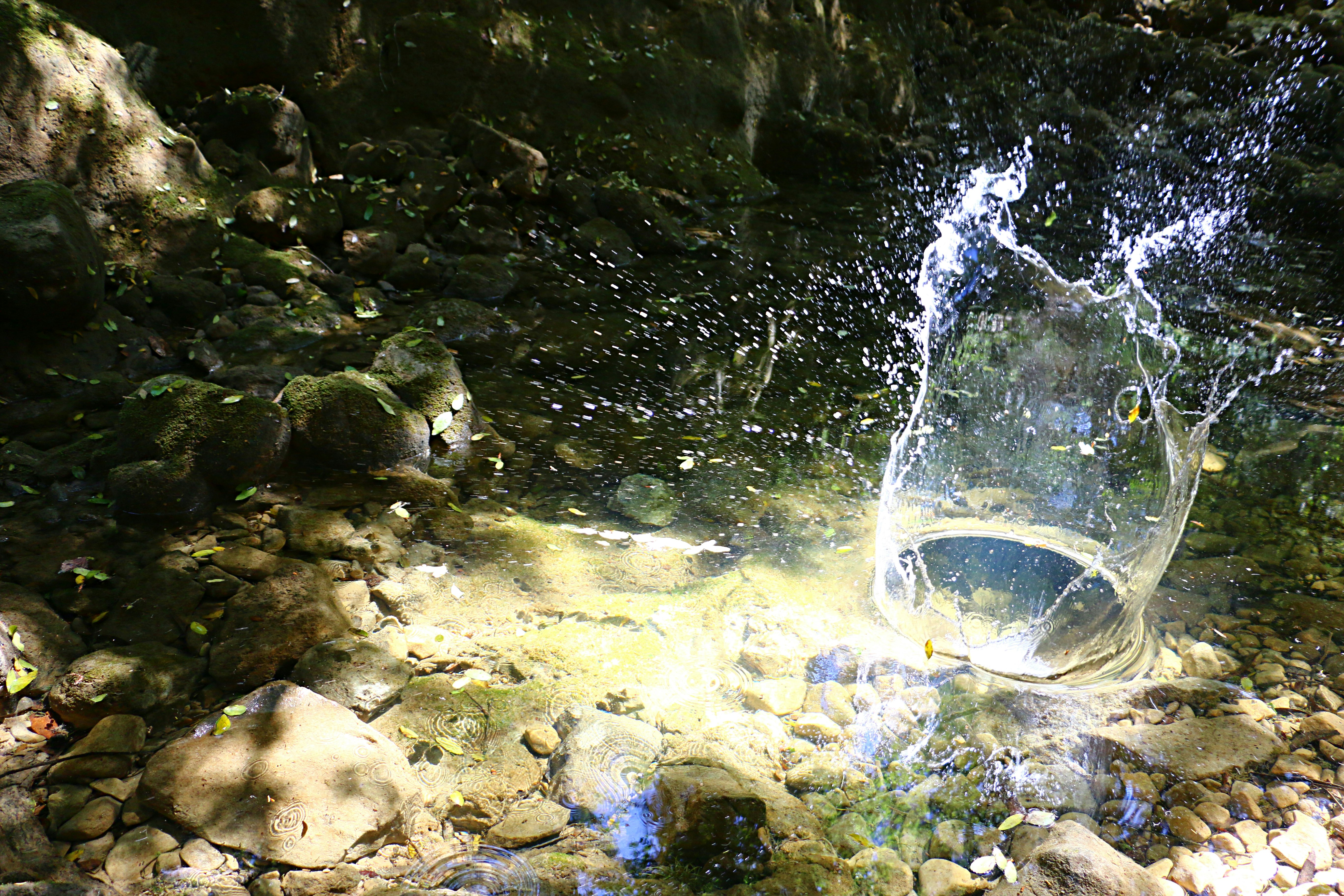 Photo by serranonline