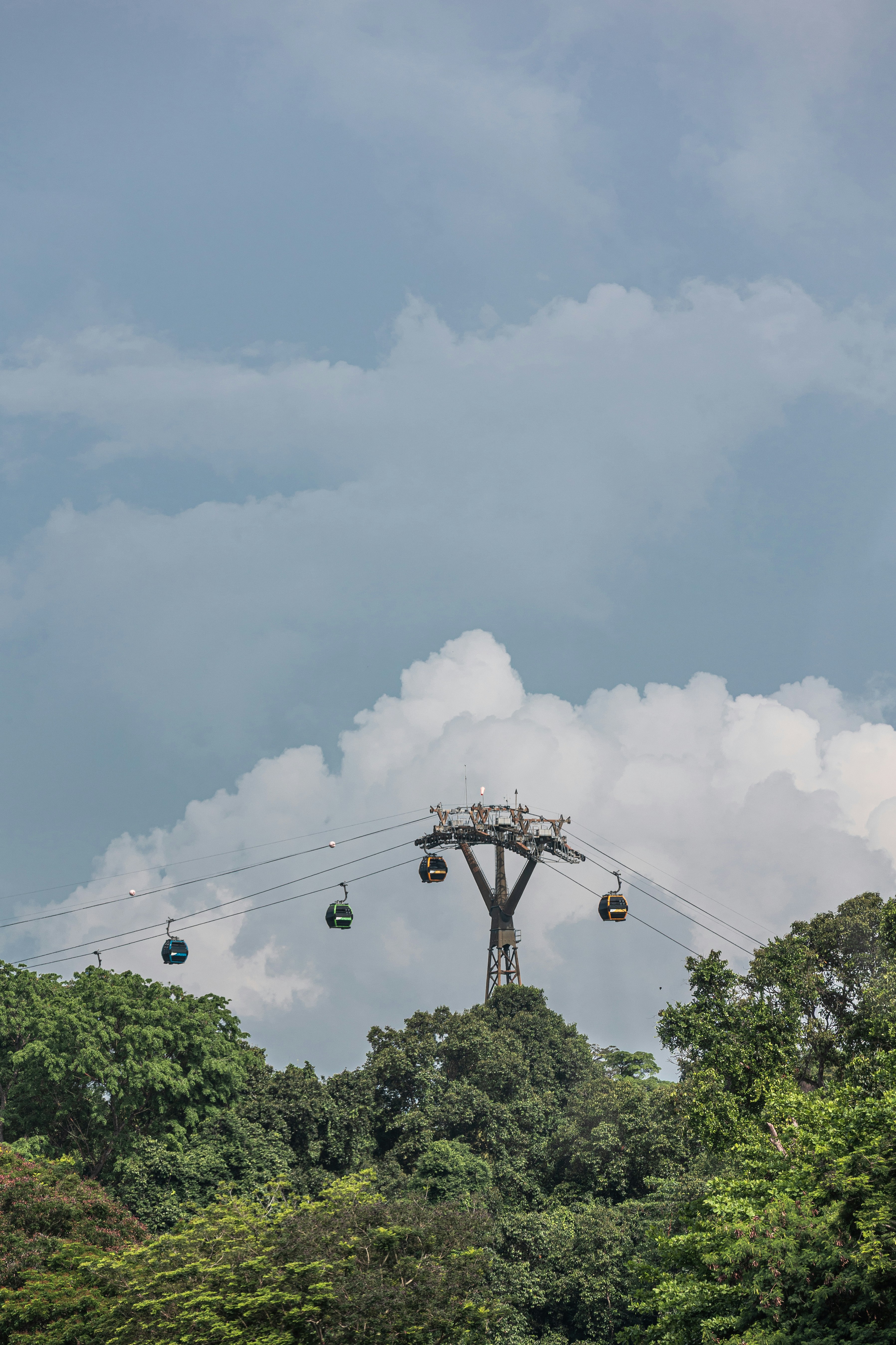 Teleféricos atravessam copas de árvores exuberantes contra céus nublados.