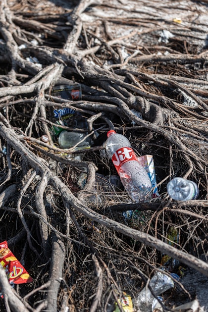 Microplastics in Human Blood, Lungs, and Placentas: What Every Body Needs to Know in 2026