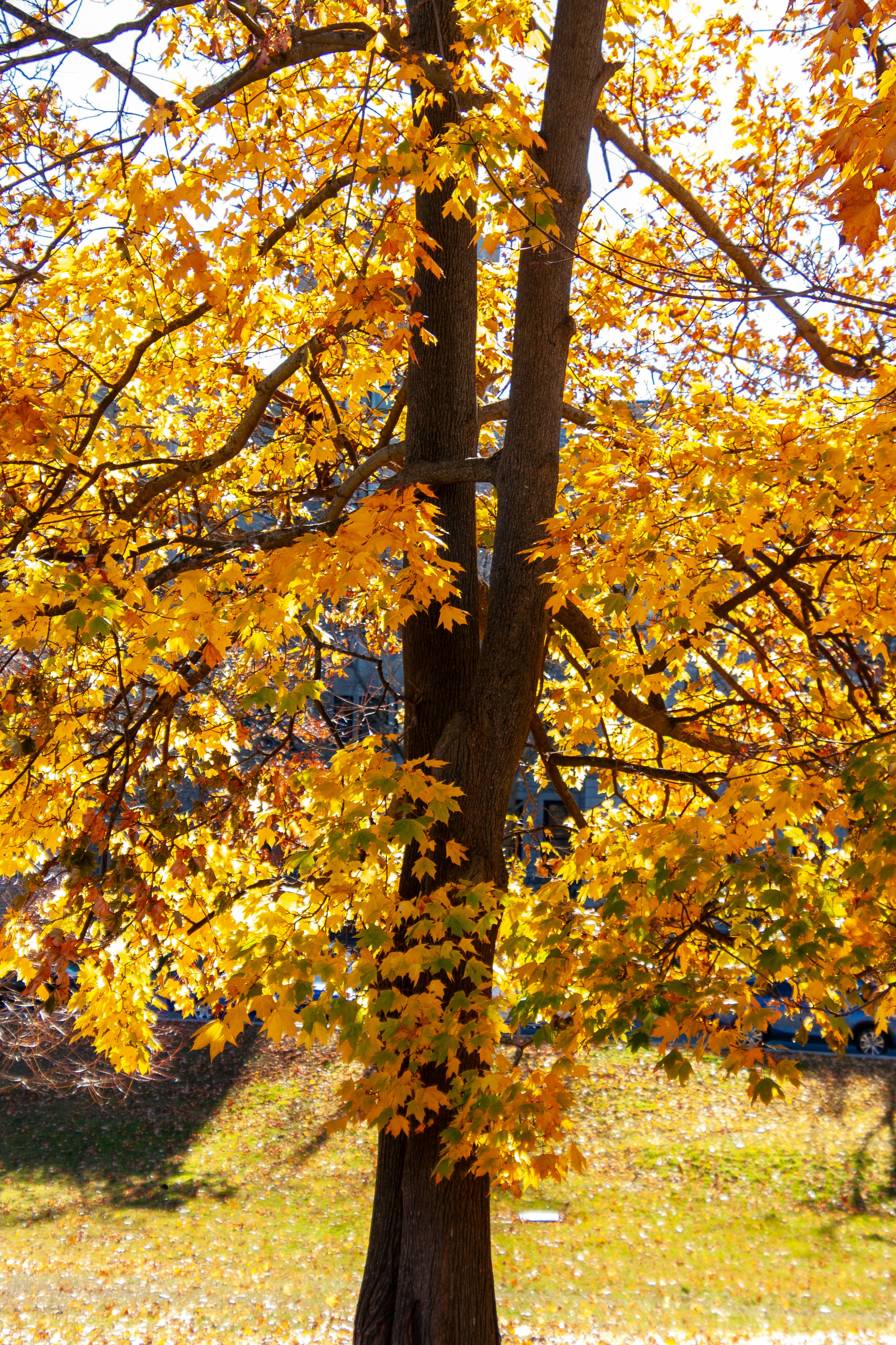 Photo by anthonyaird