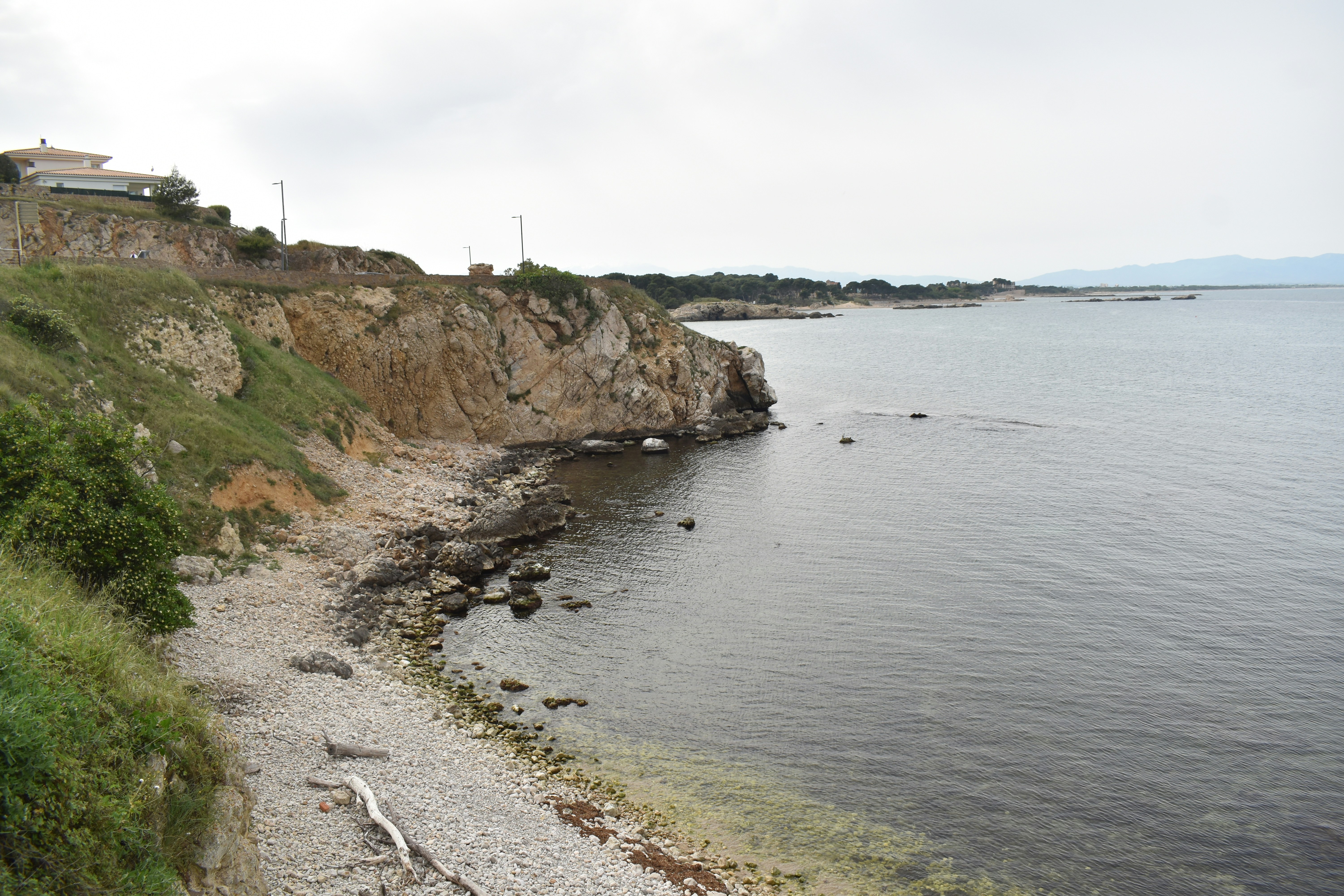 Photo by niloufarmirhadi