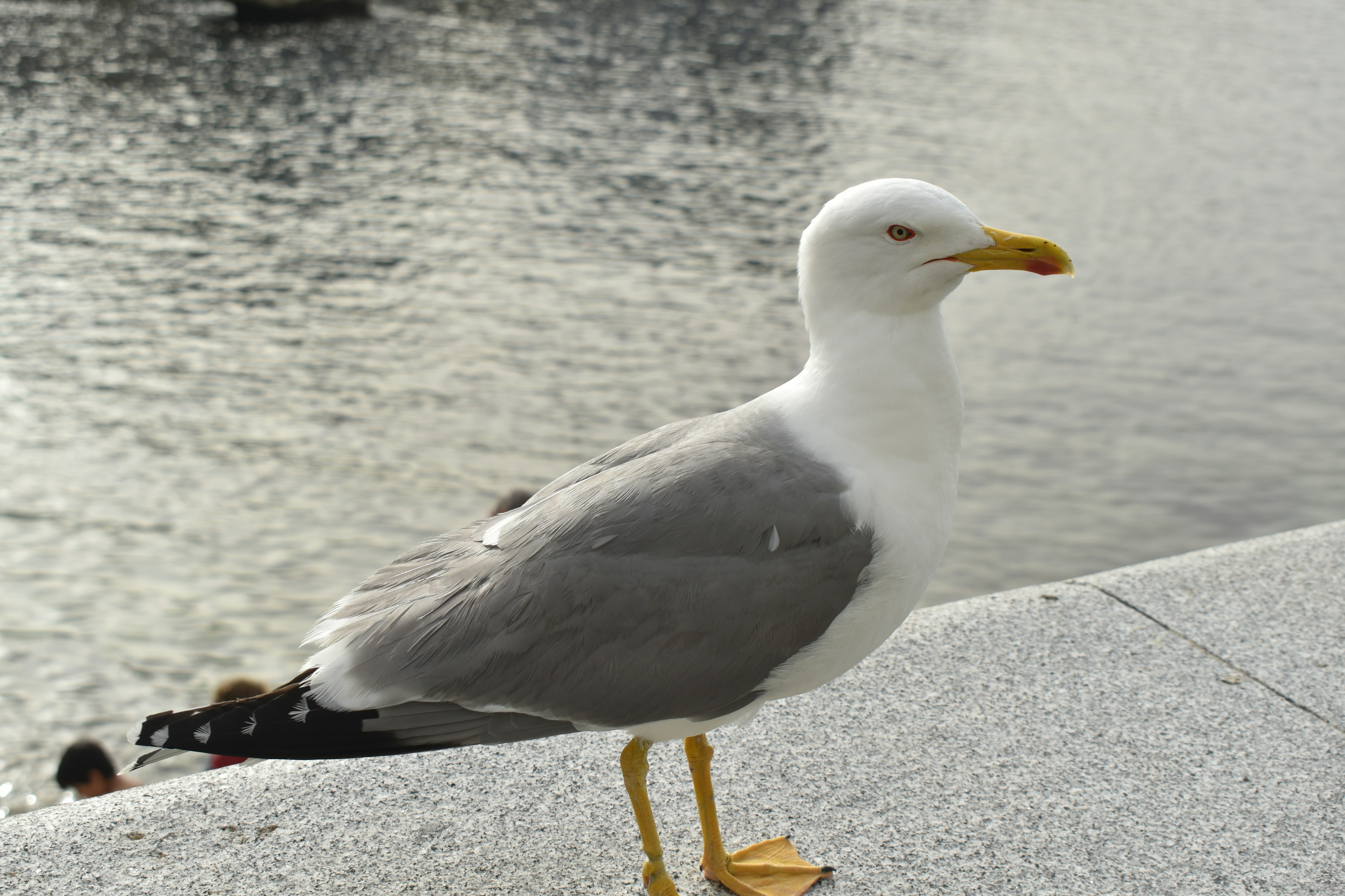 Photo by niloufarmirhadi