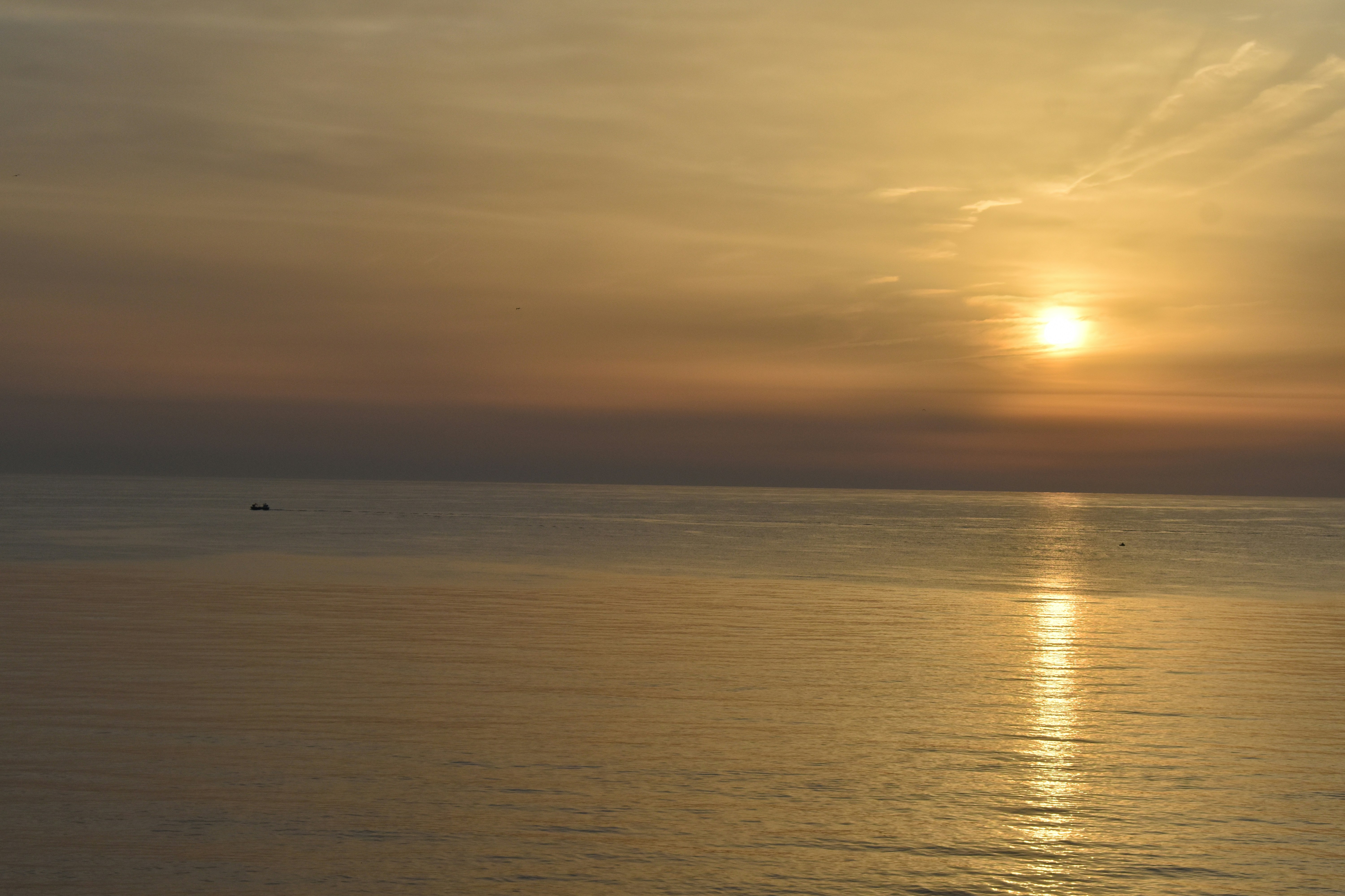 Photo by niloufarmirhadi