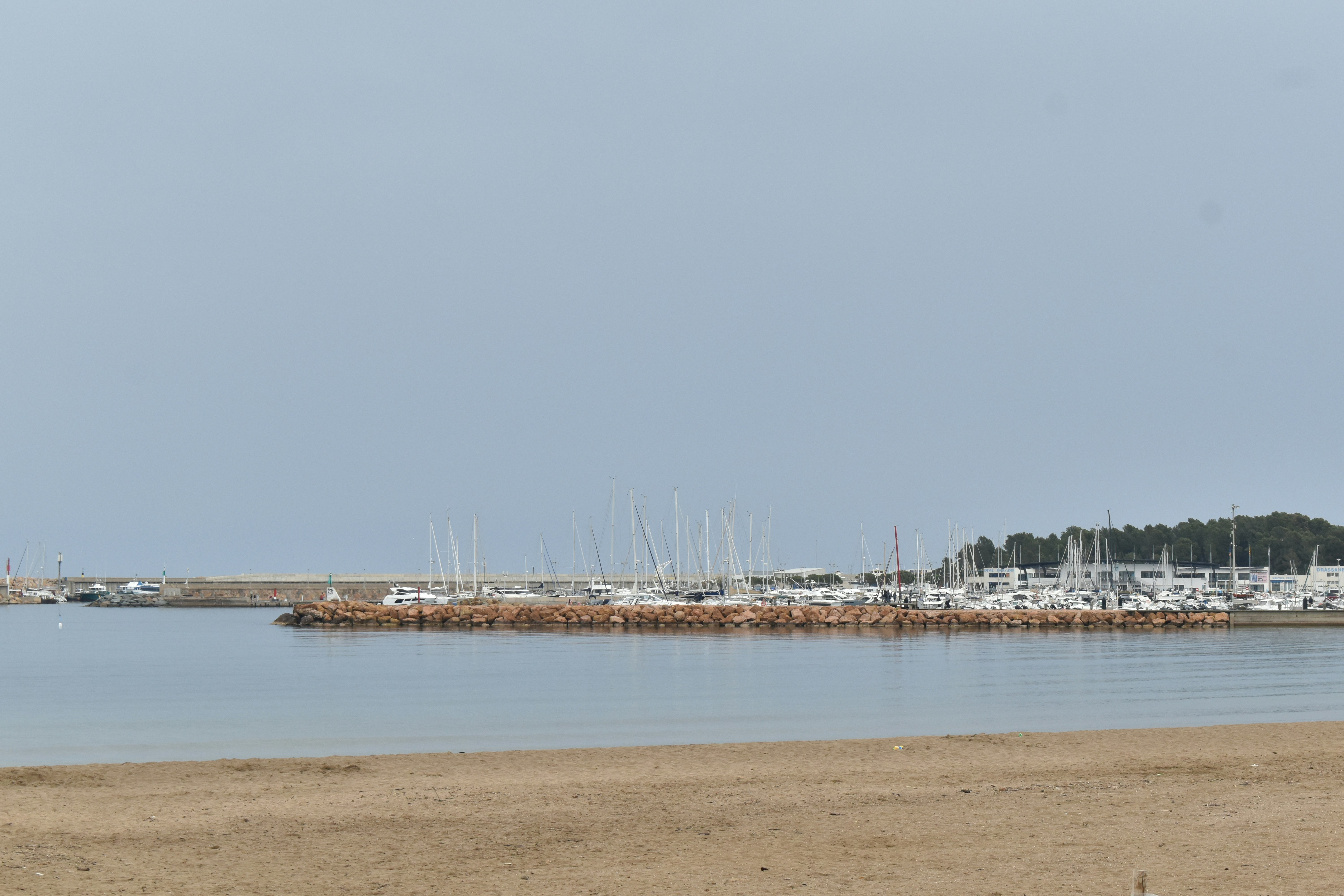 Photo by niloufarmirhadi