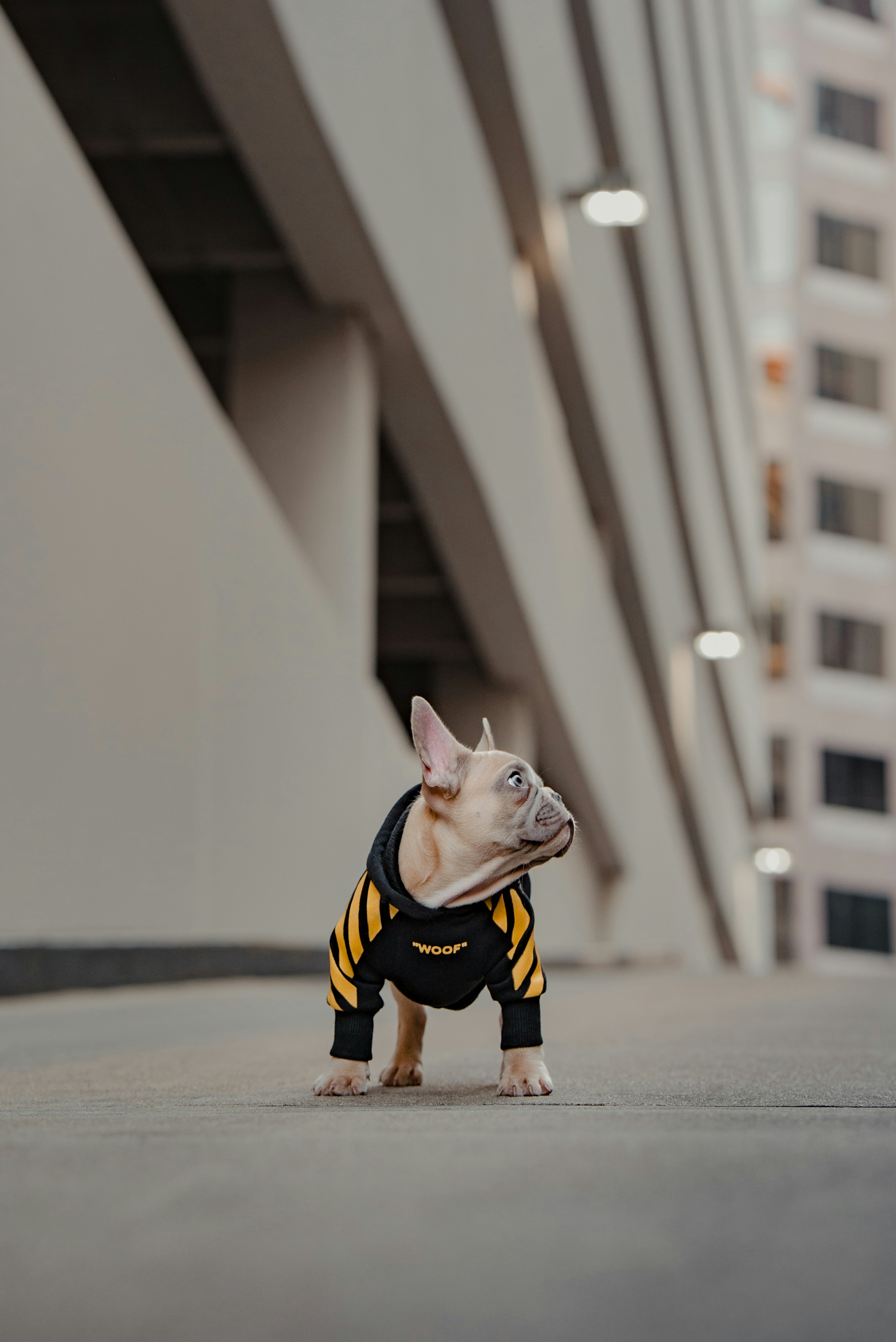 Daily Productive Sharing 1263 - Habits for Daily Writing