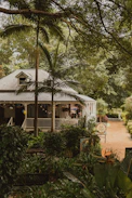A cozy house sits amidst lush greenery.