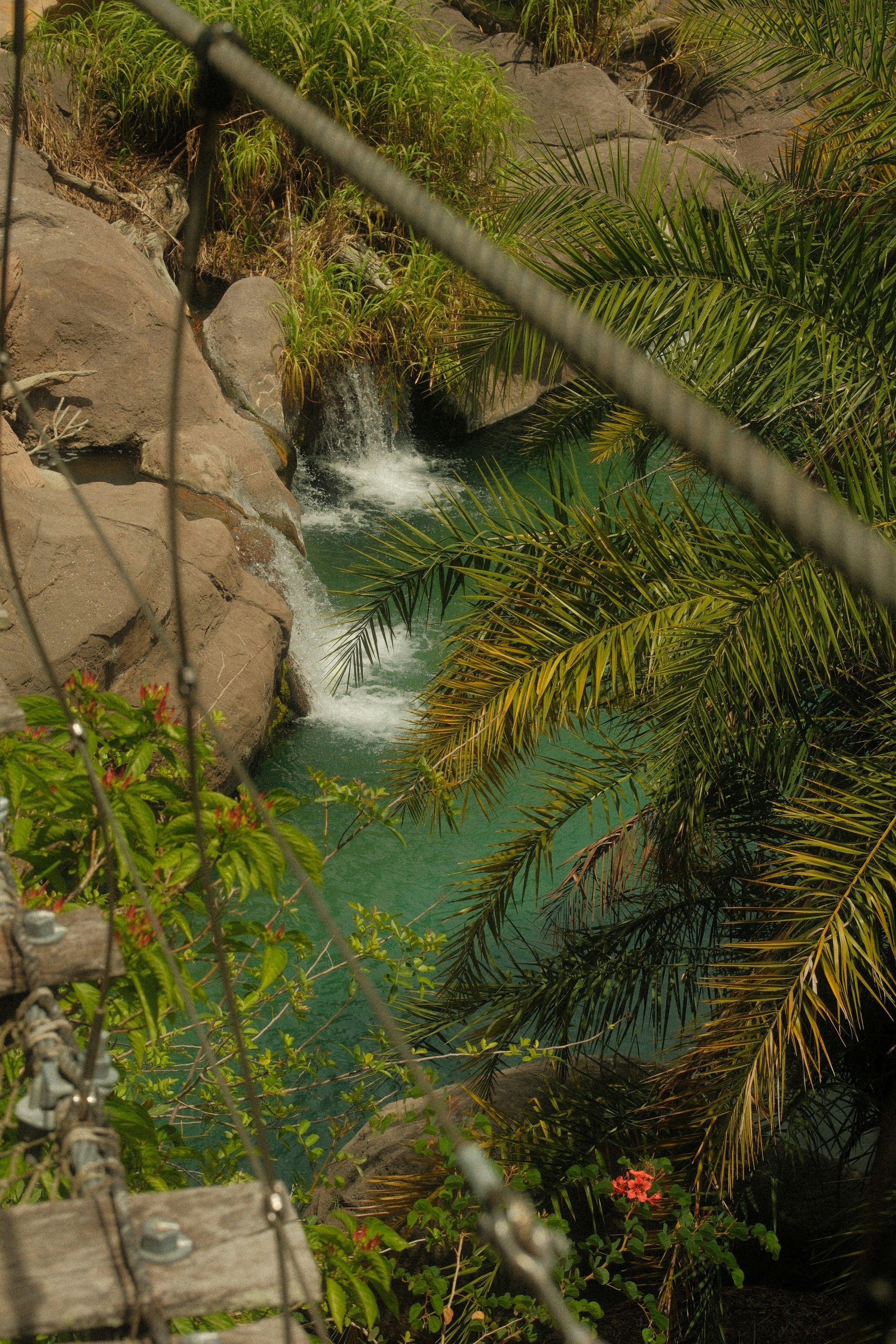 Ein Wasserfall stürzt in ein ruhiges, türkisfarbenes Becken.