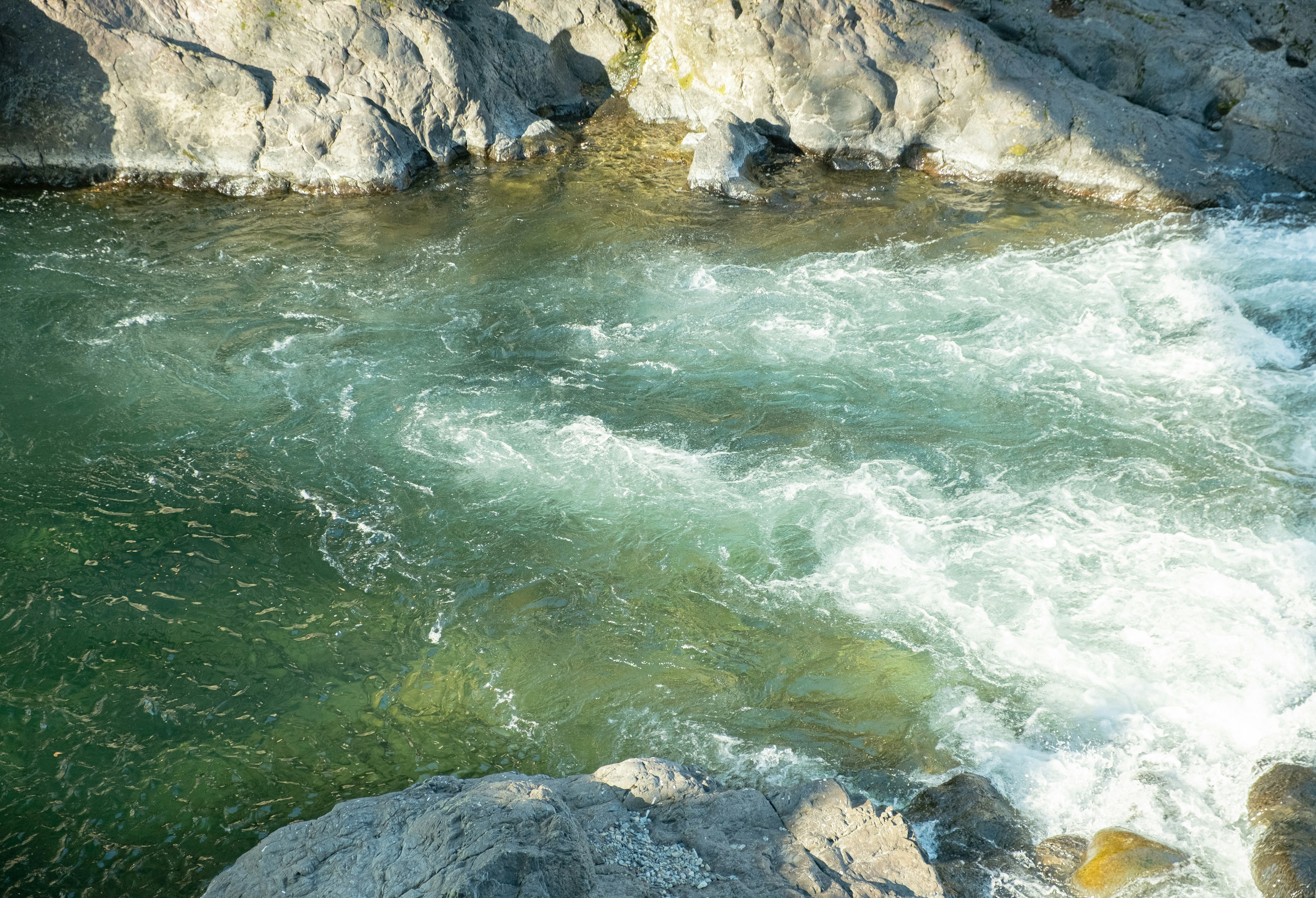Clear river water rushing over sunlit rocks, the current shimmering with movement and light.