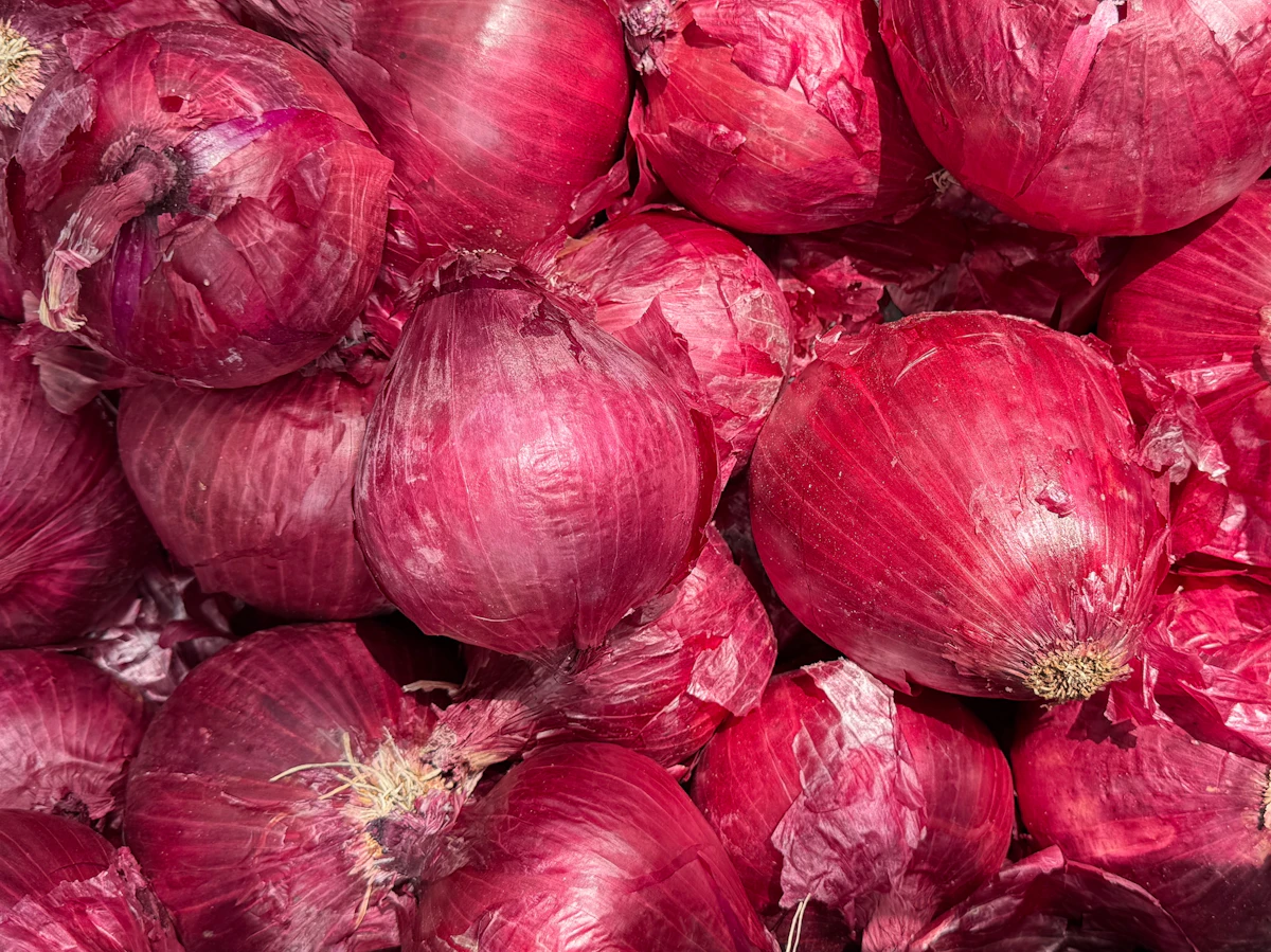 Fresh red onions — representative product imagery