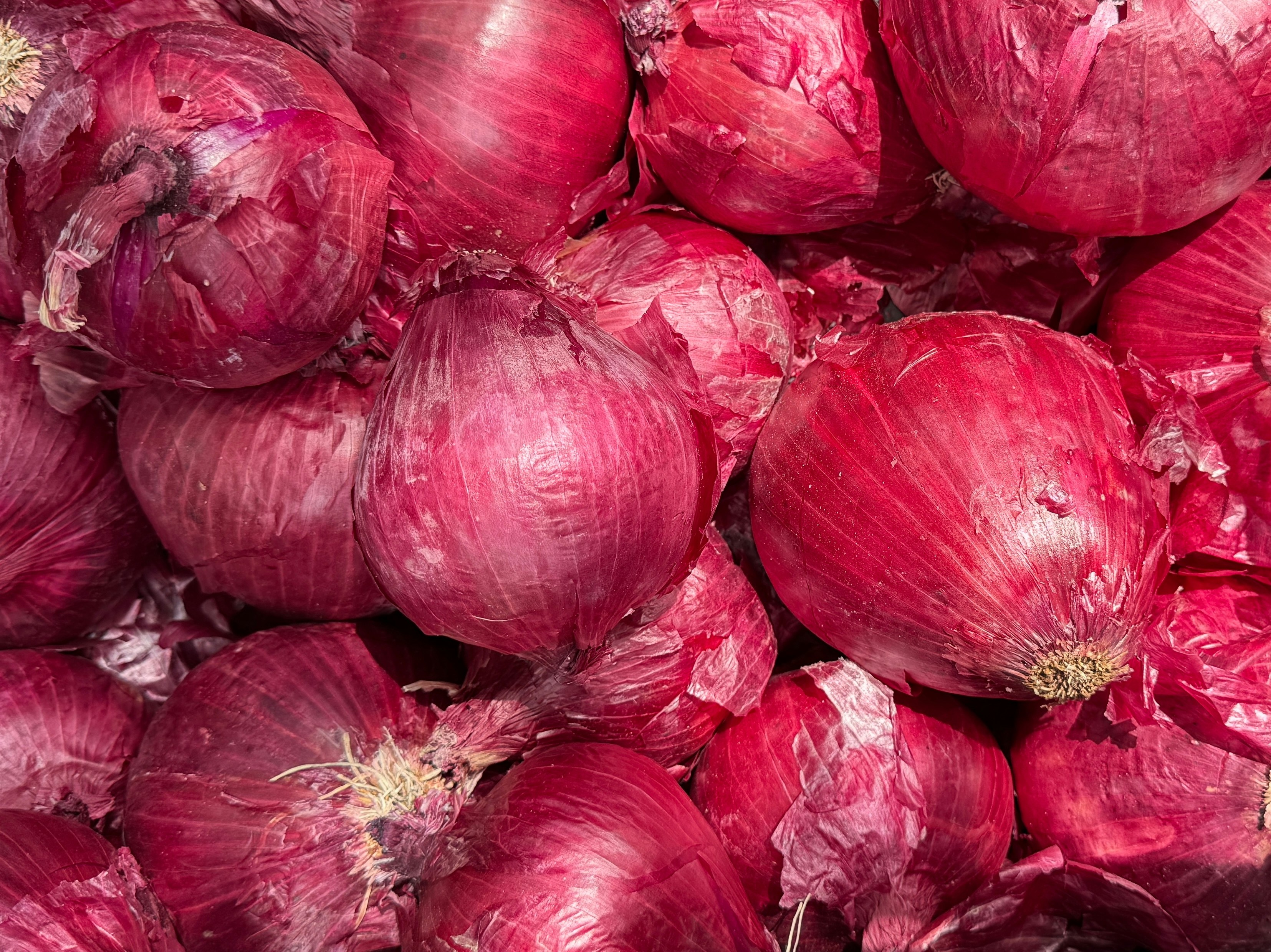 Red Onions