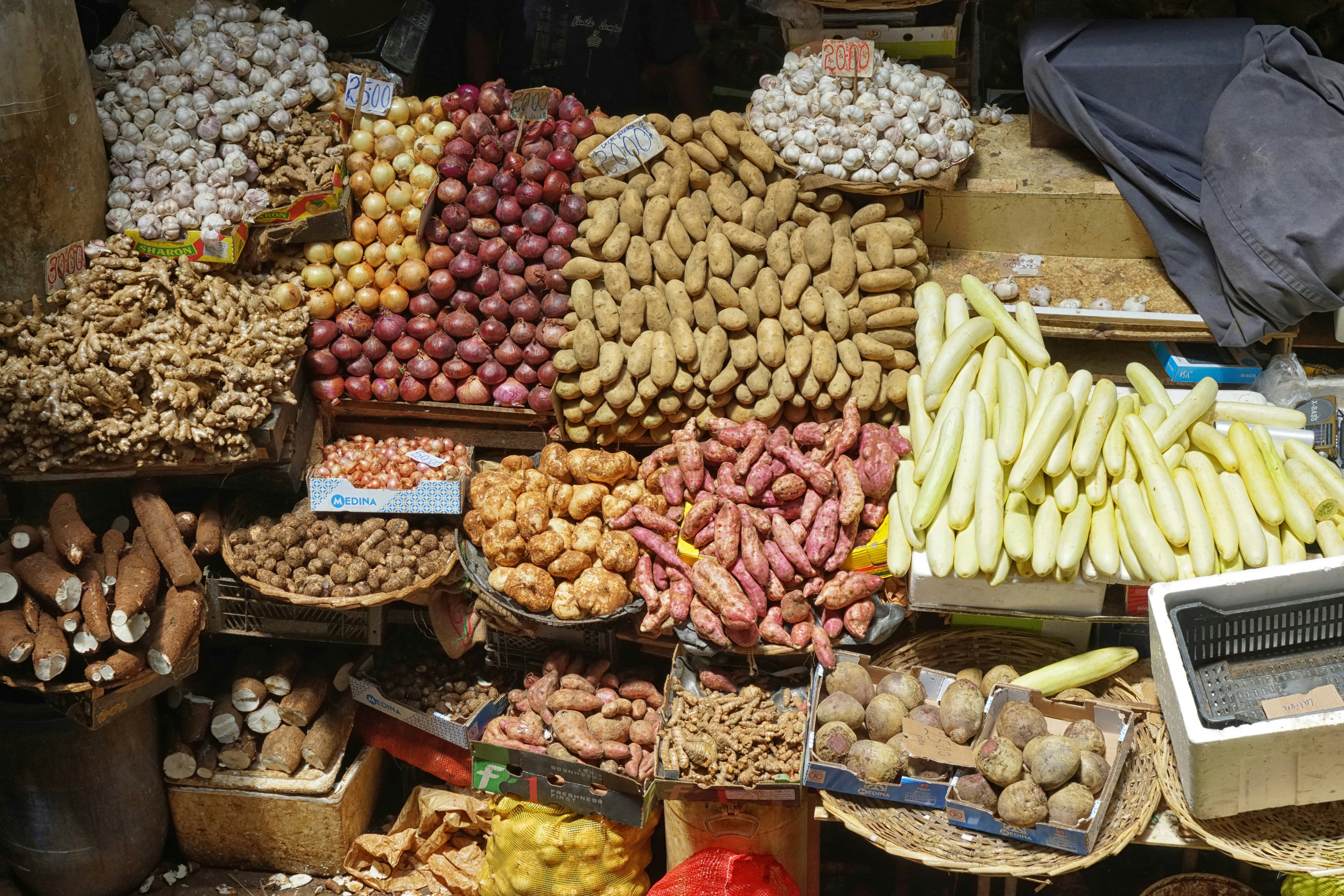 Продажі Shiba Inu наближаються: 82 трильйони депозитів загрожують обвалити ціну SHIB