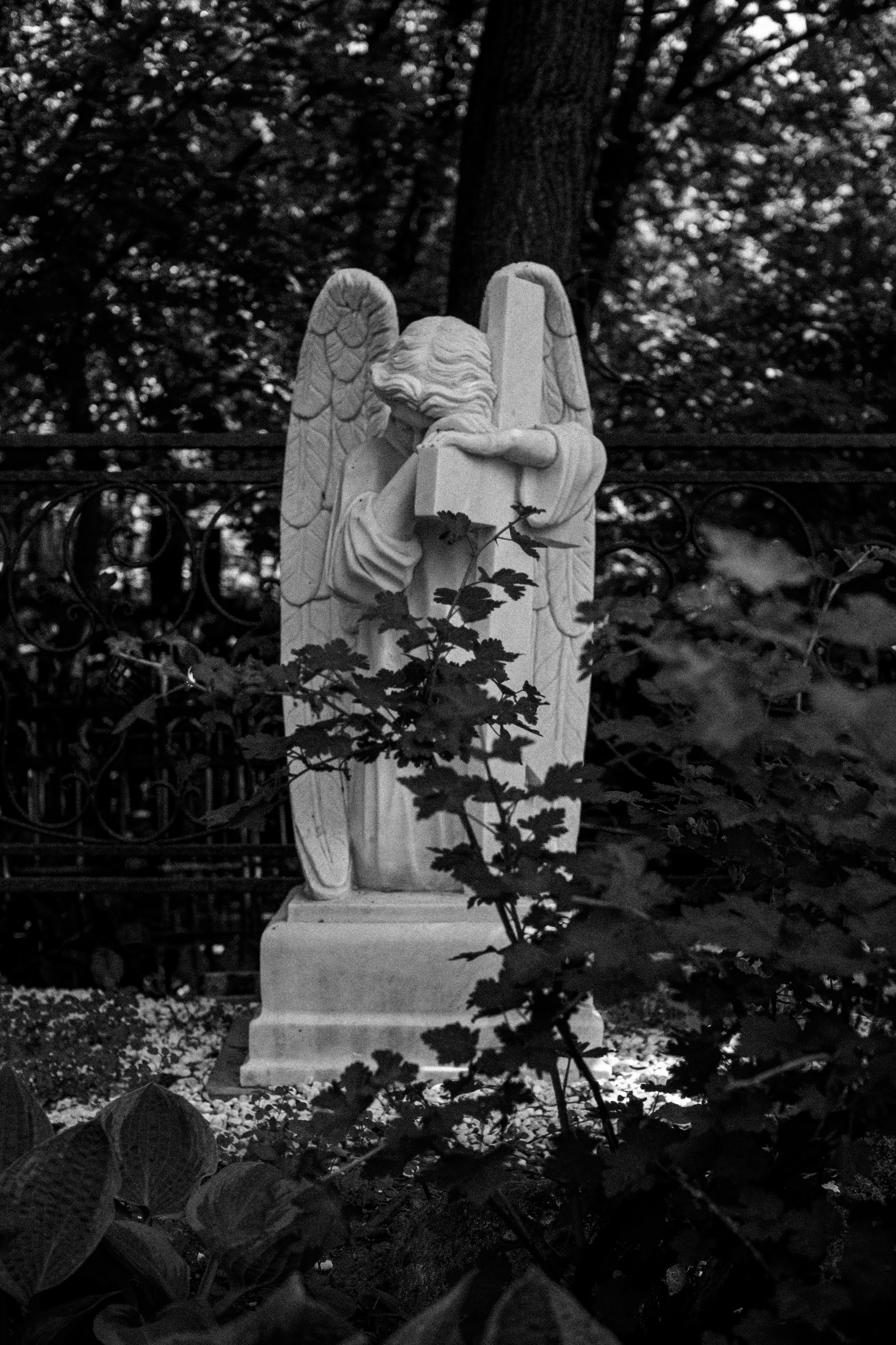 Photo by trofimova_photographer