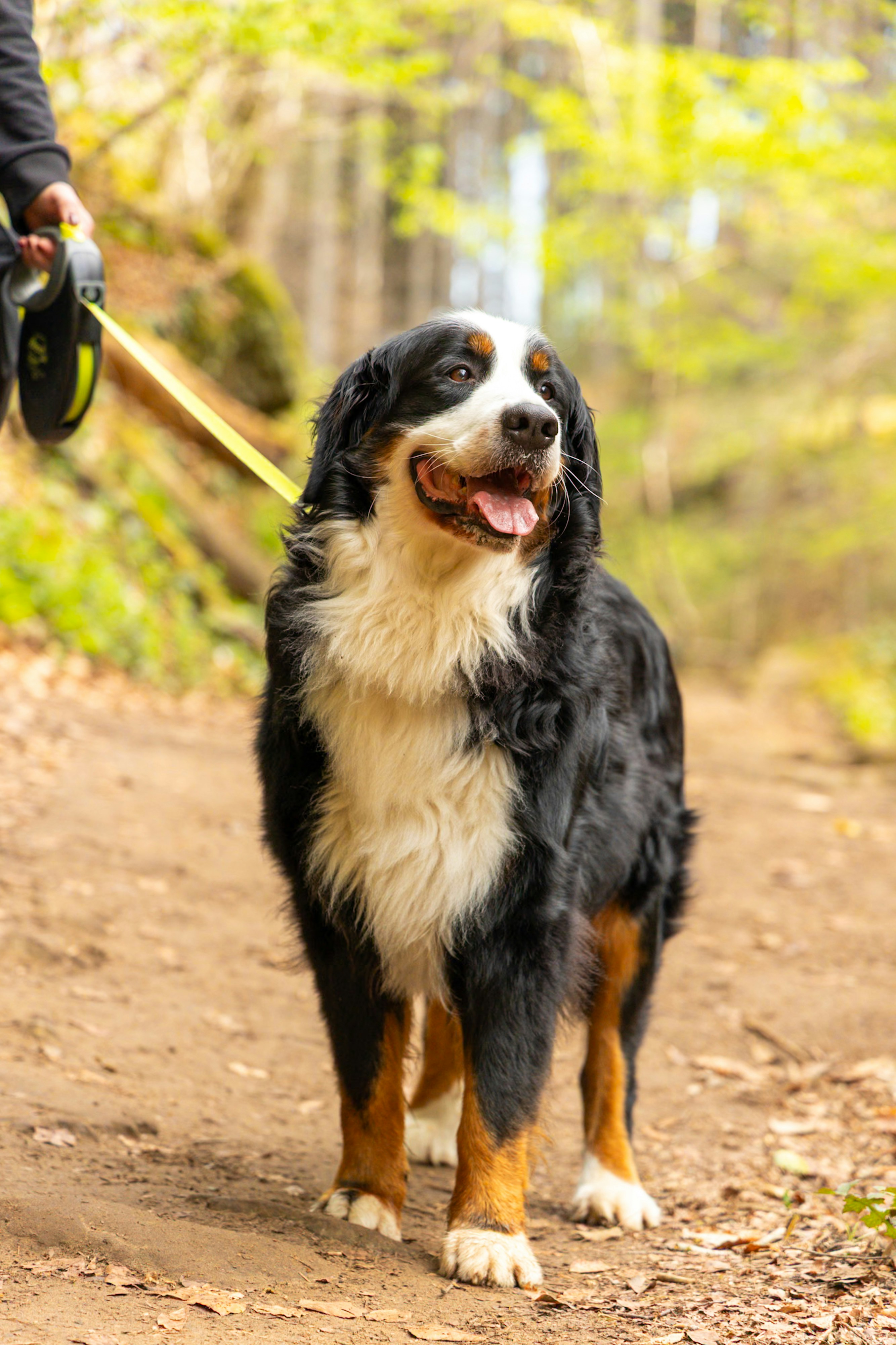 Photo by gnomezgrave