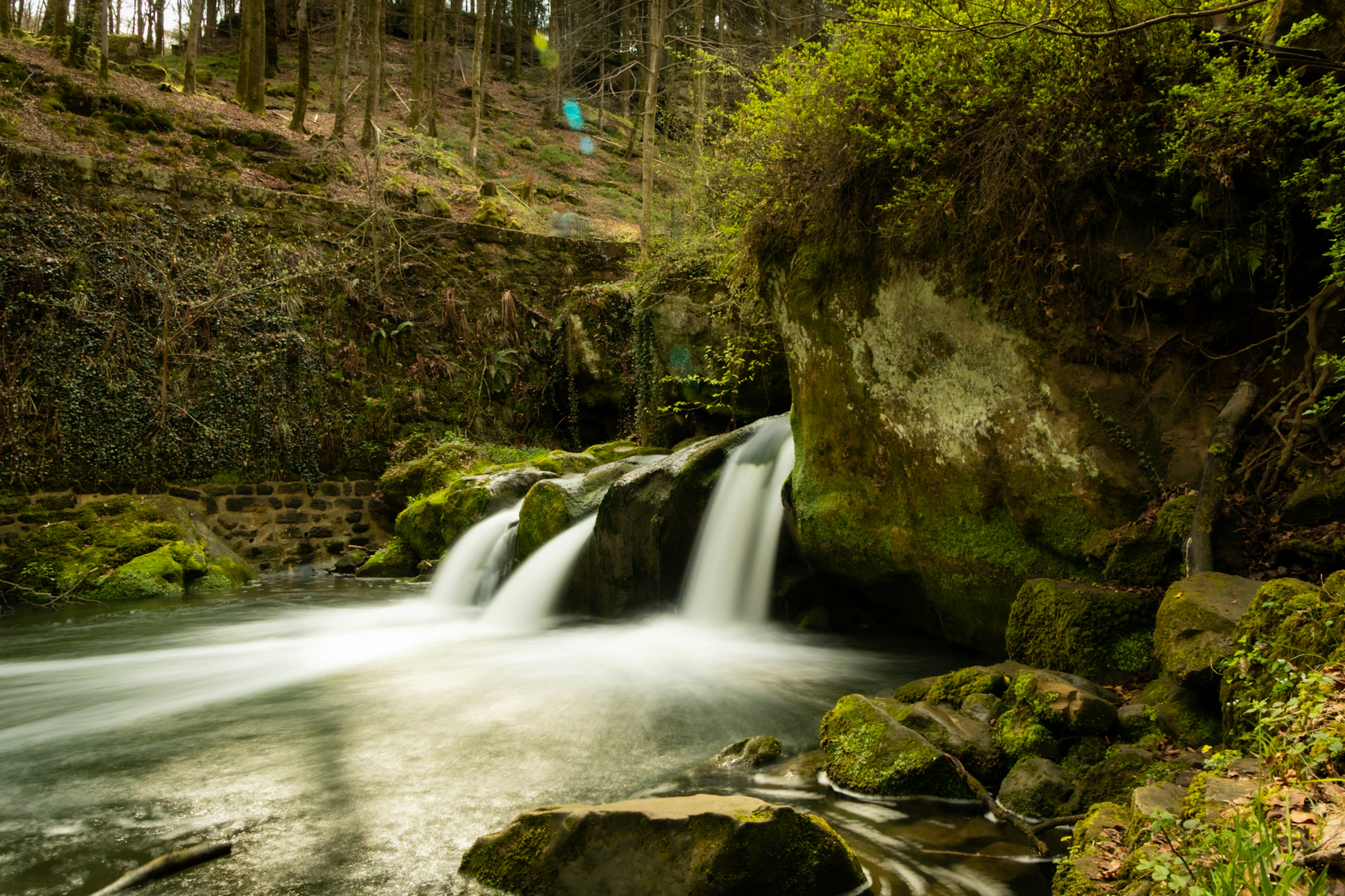 Photo by gnomezgrave