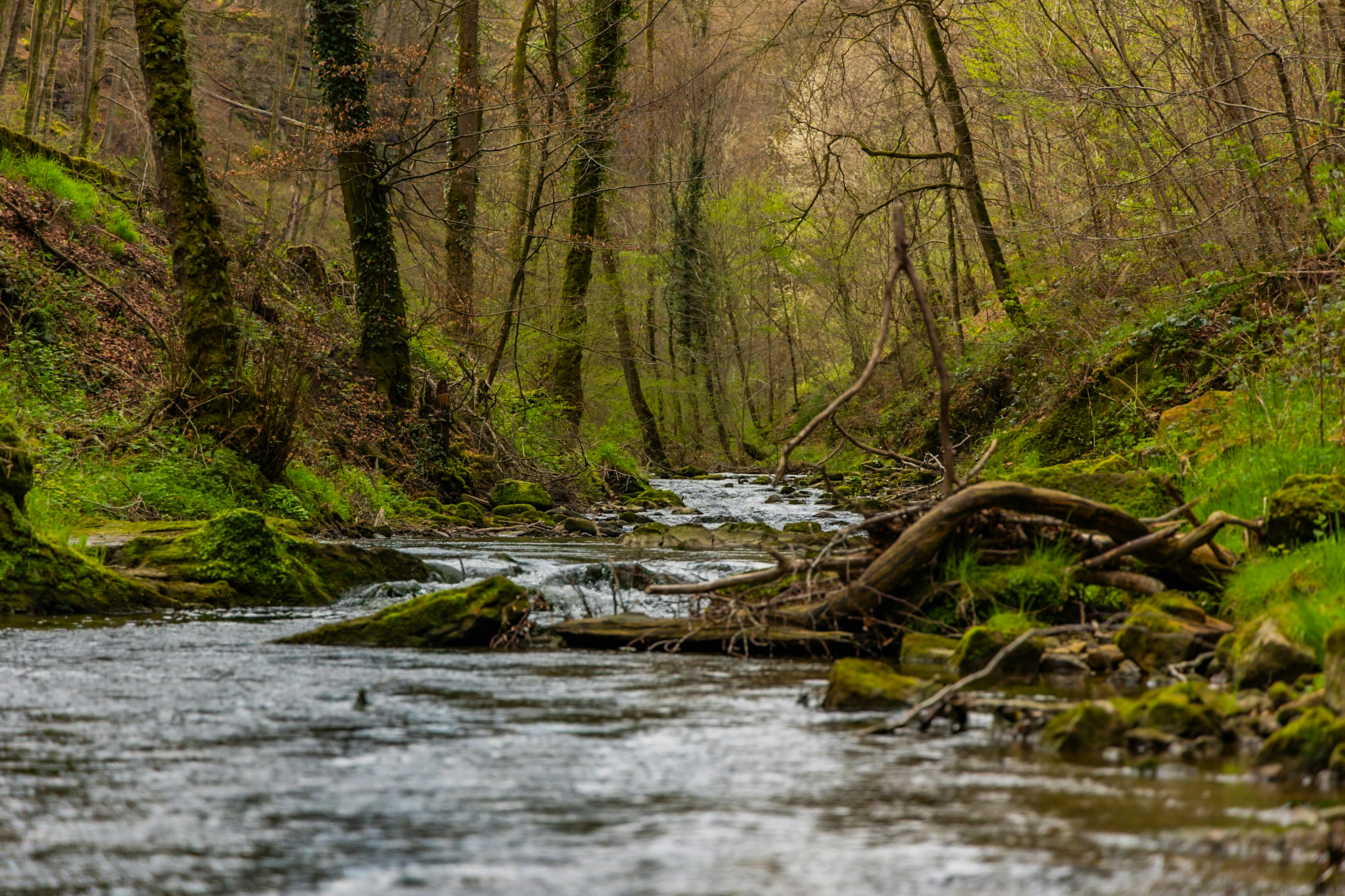 Photo by gnomezgrave