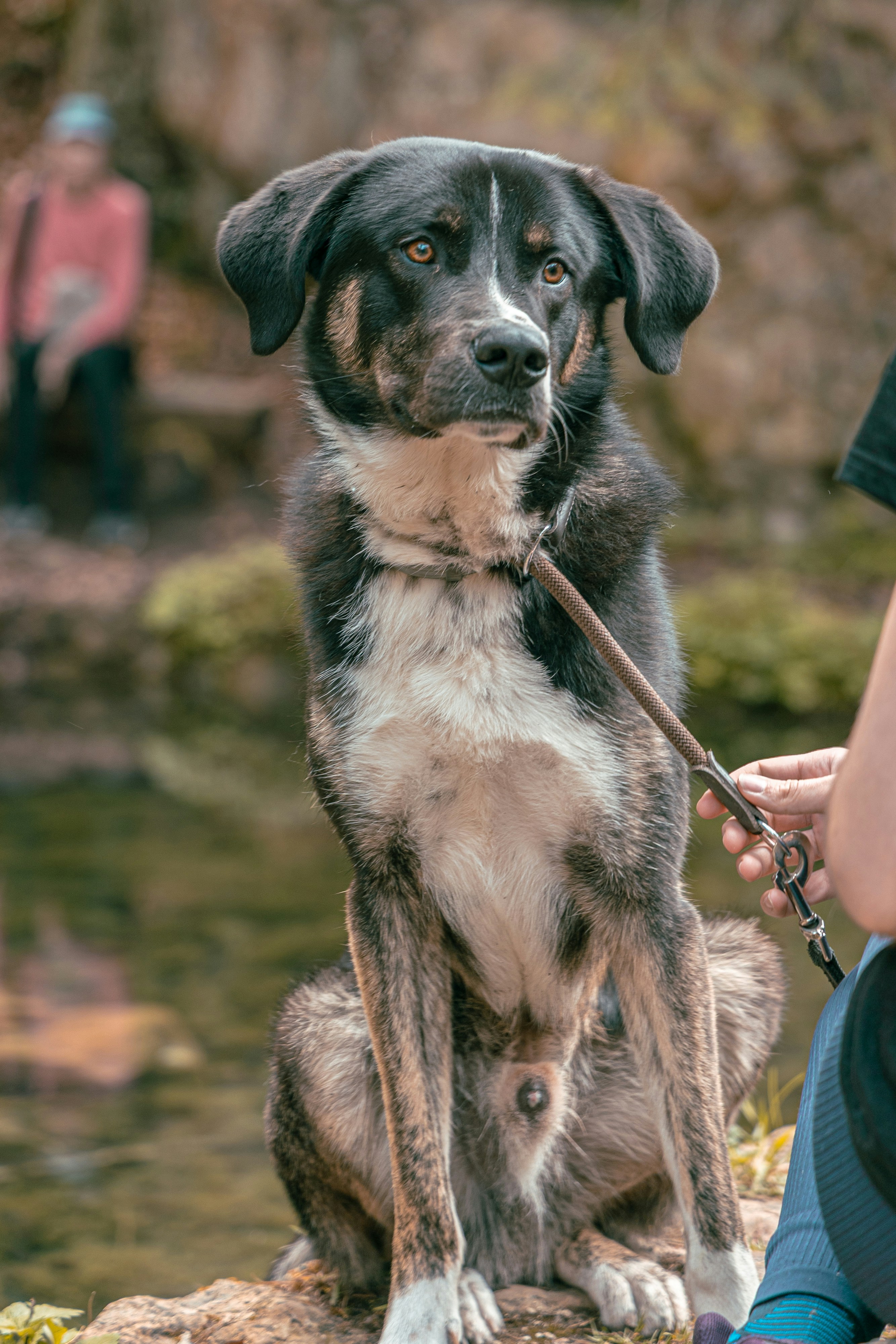 Photo by gnomezgrave