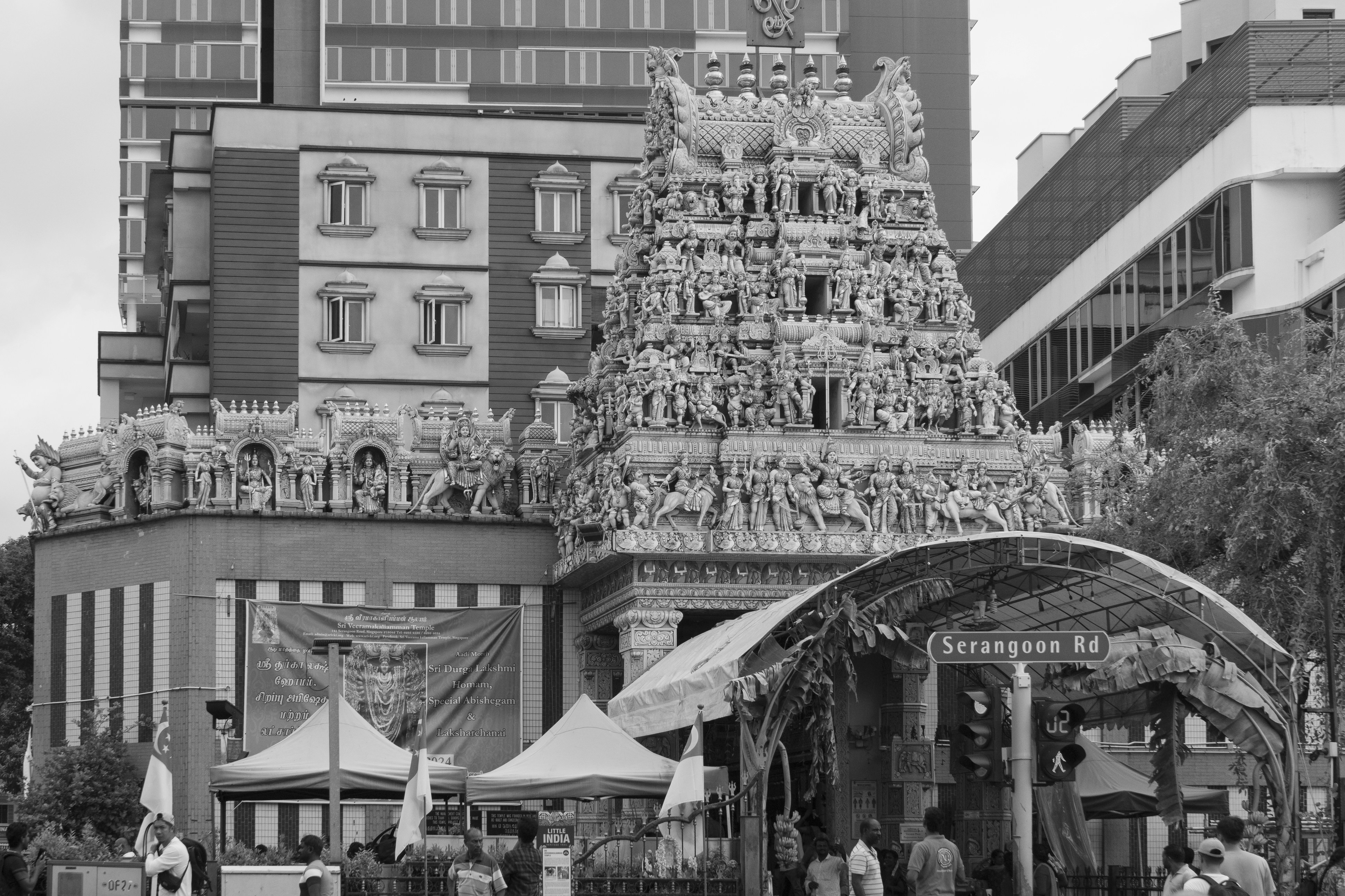 Image by Nerissa J via Unsplash