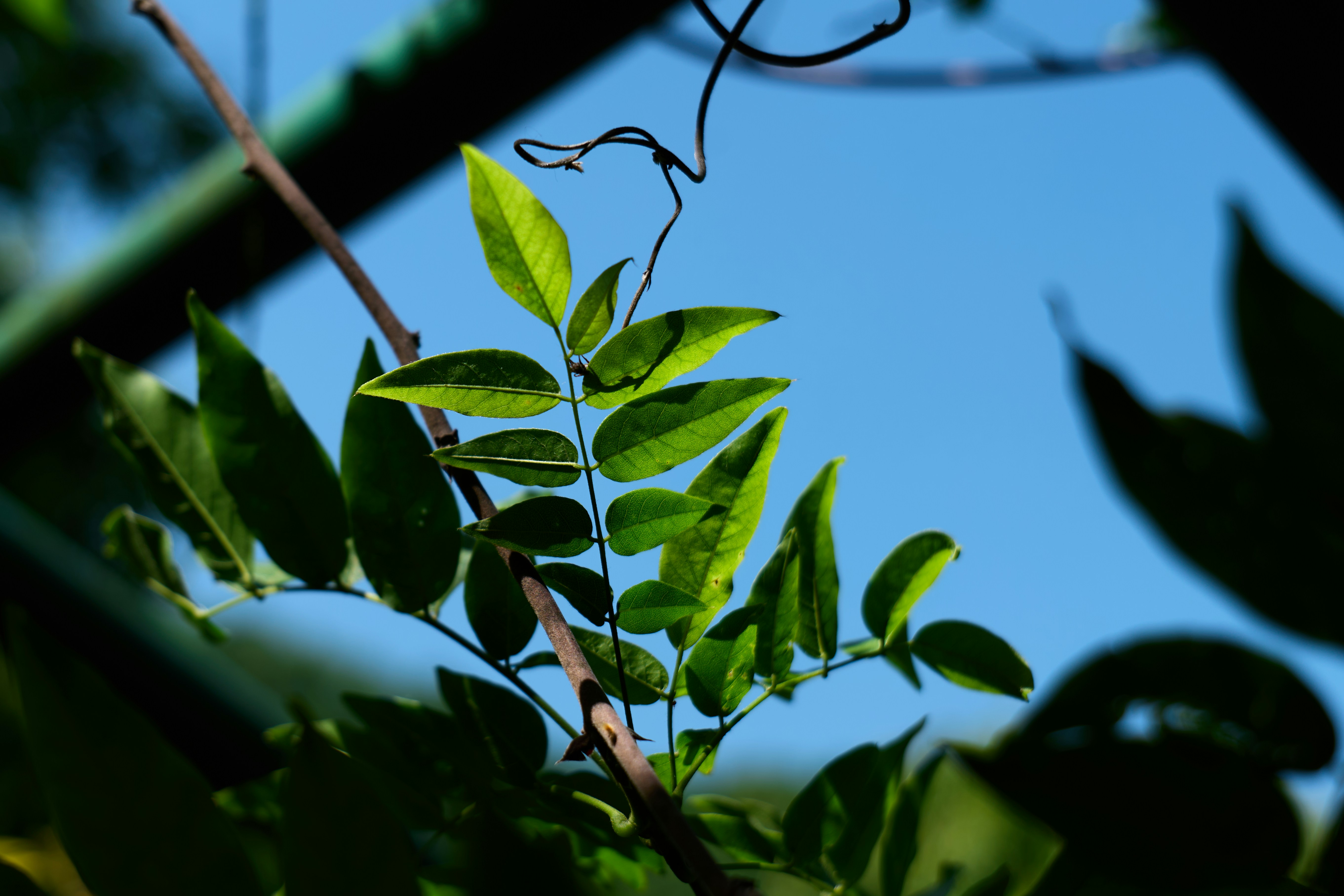 Photo by aasing_gwok