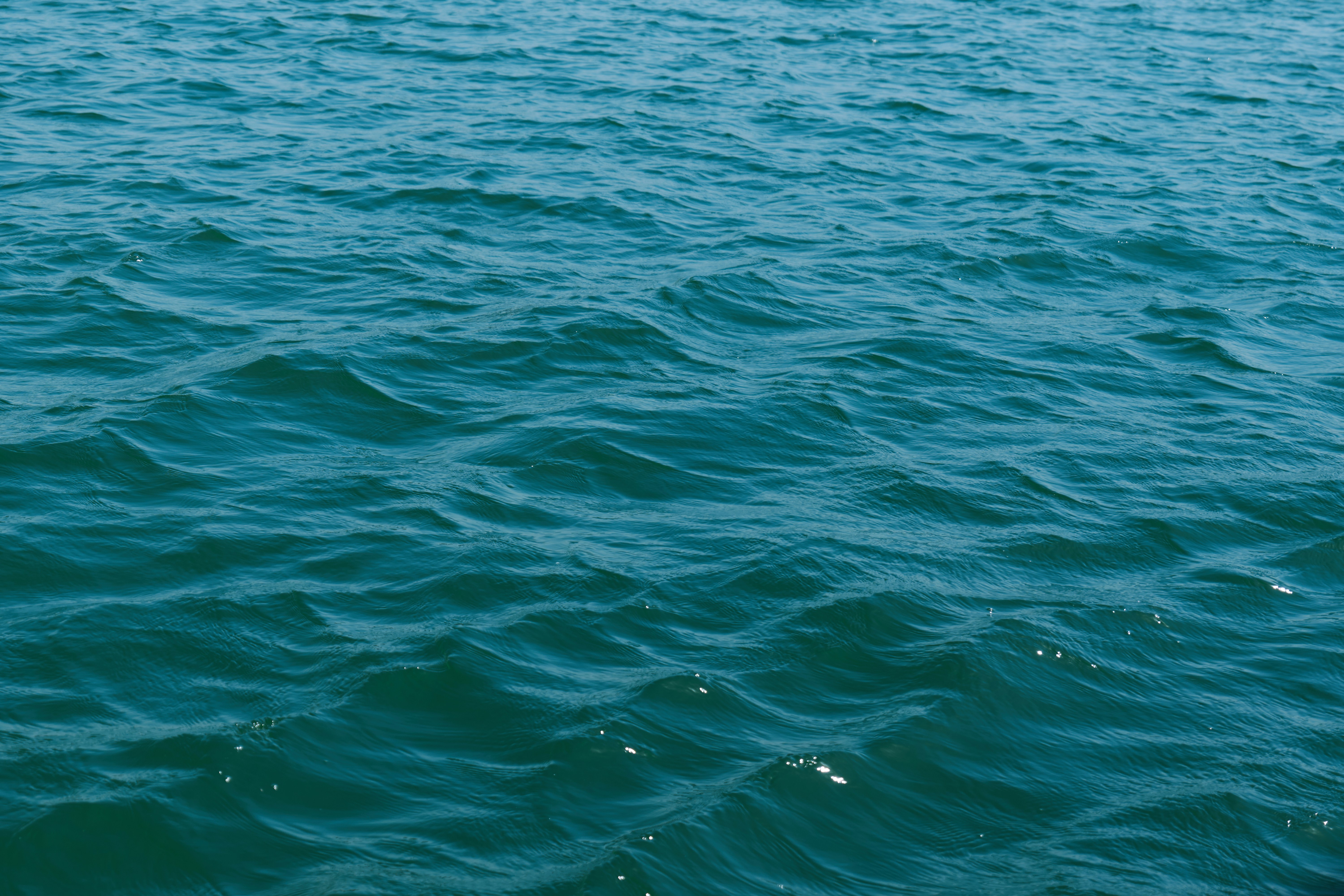 Photo by aasing_gwok