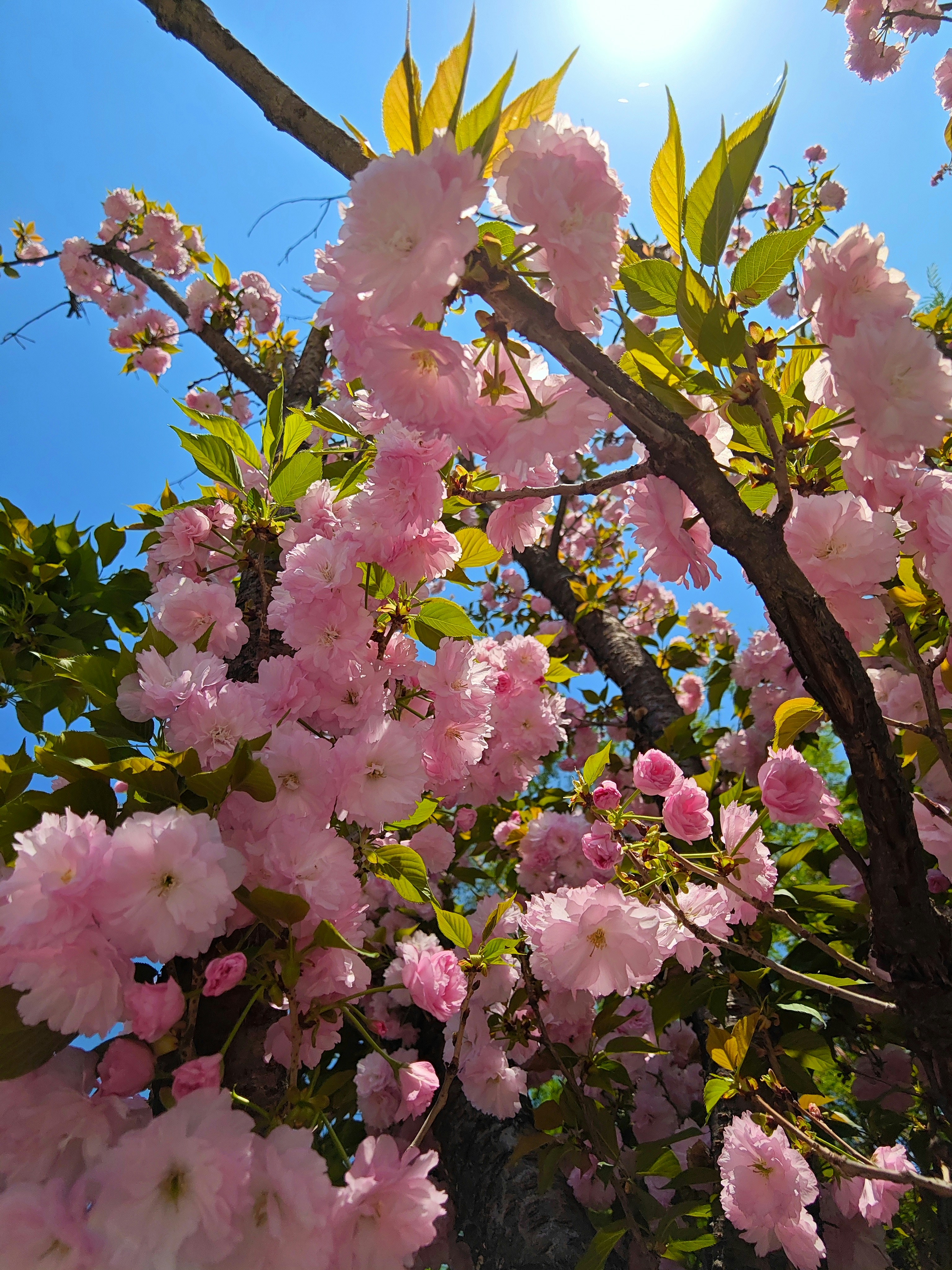 Photo by mw960367054