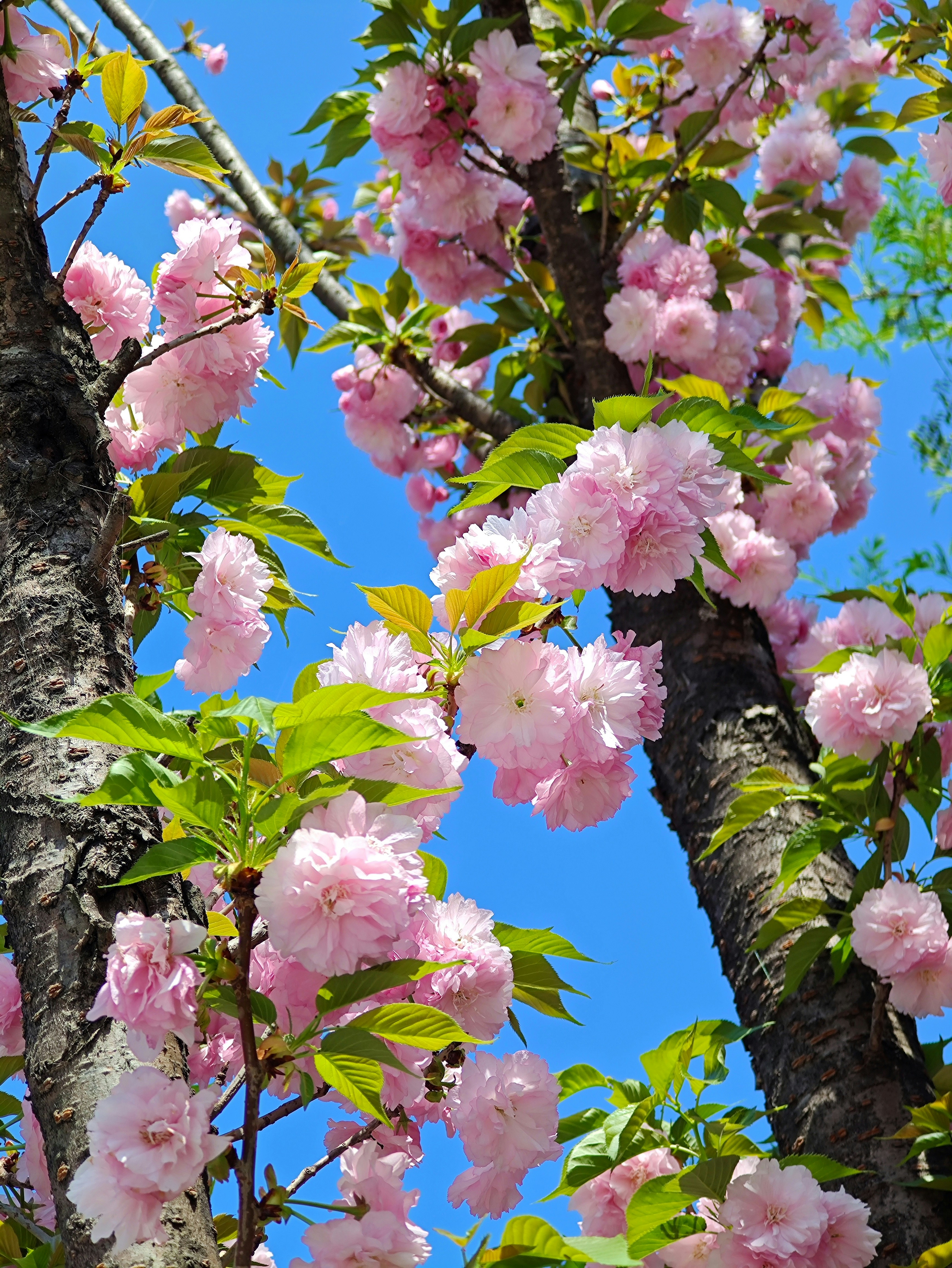 Photo by mw960367054
