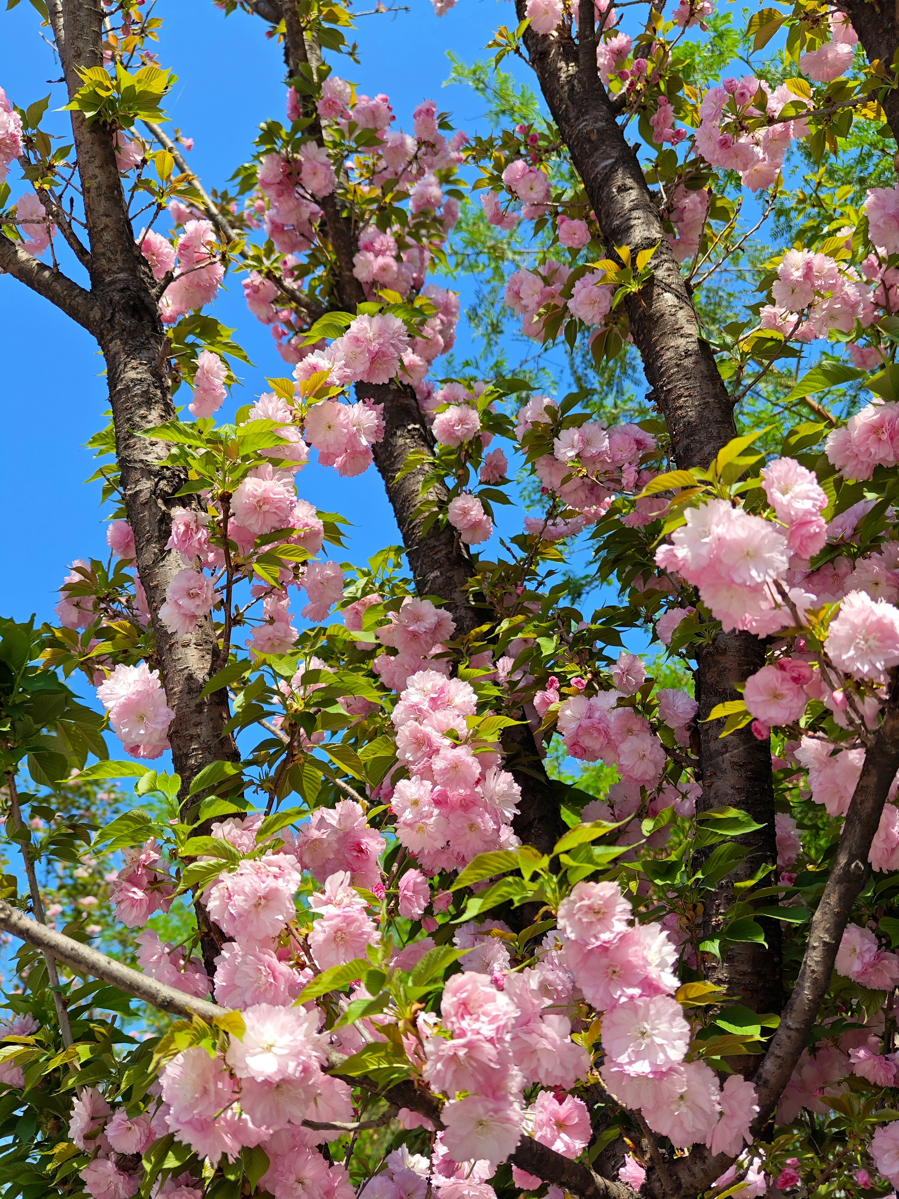 Photo by mw960367054