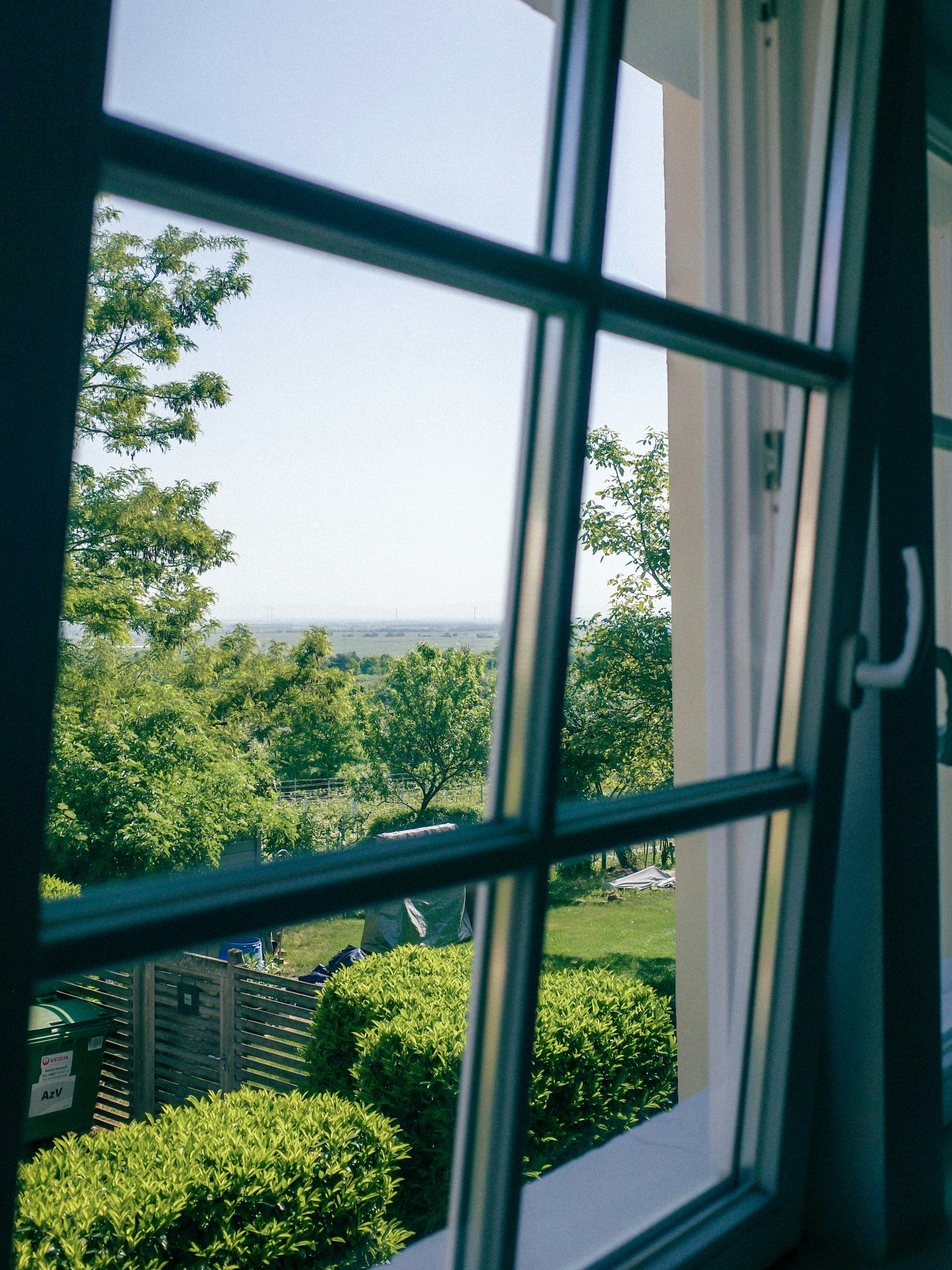 A window frames a sunny landscape and trees.