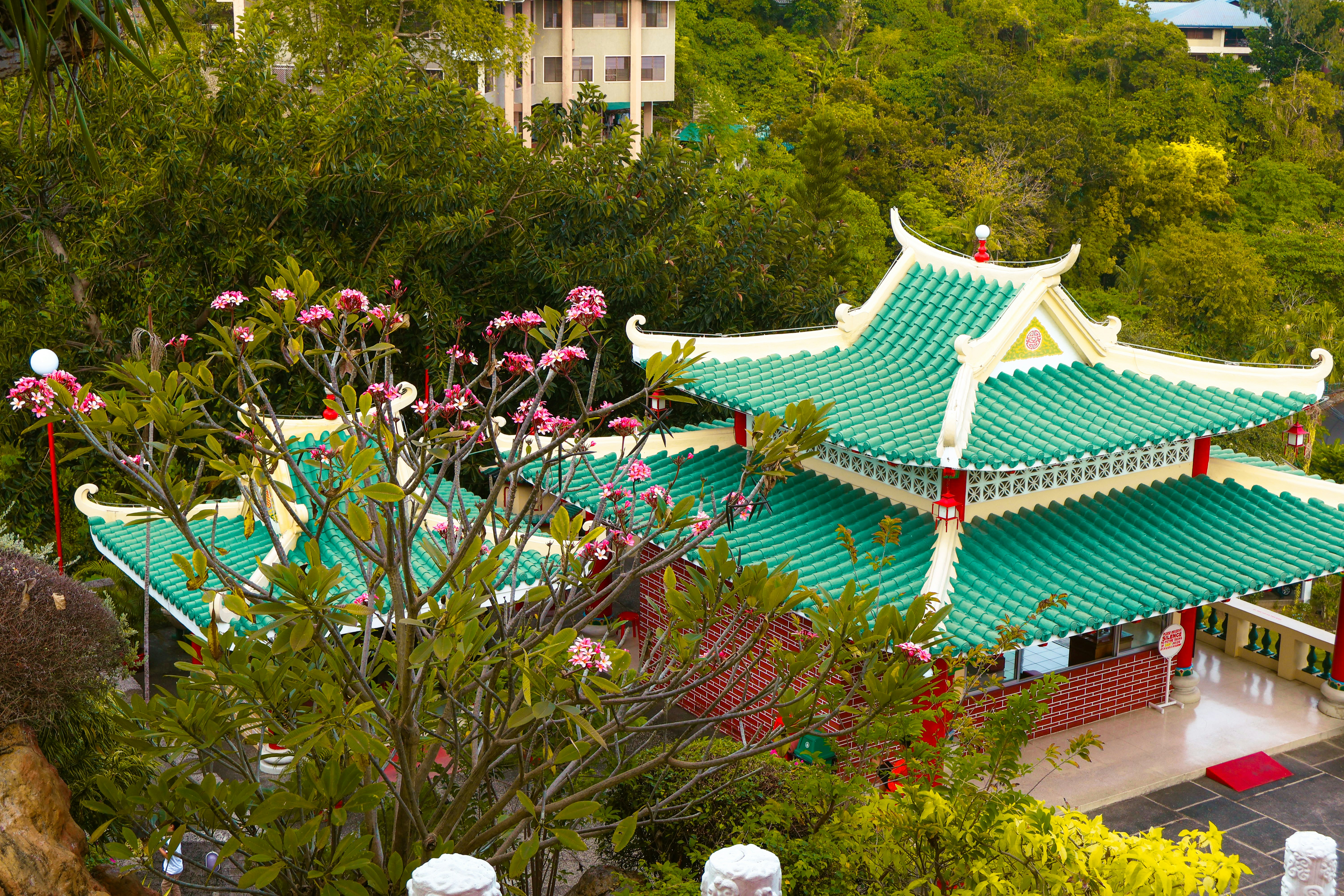 A chinese temple sits among green trees.