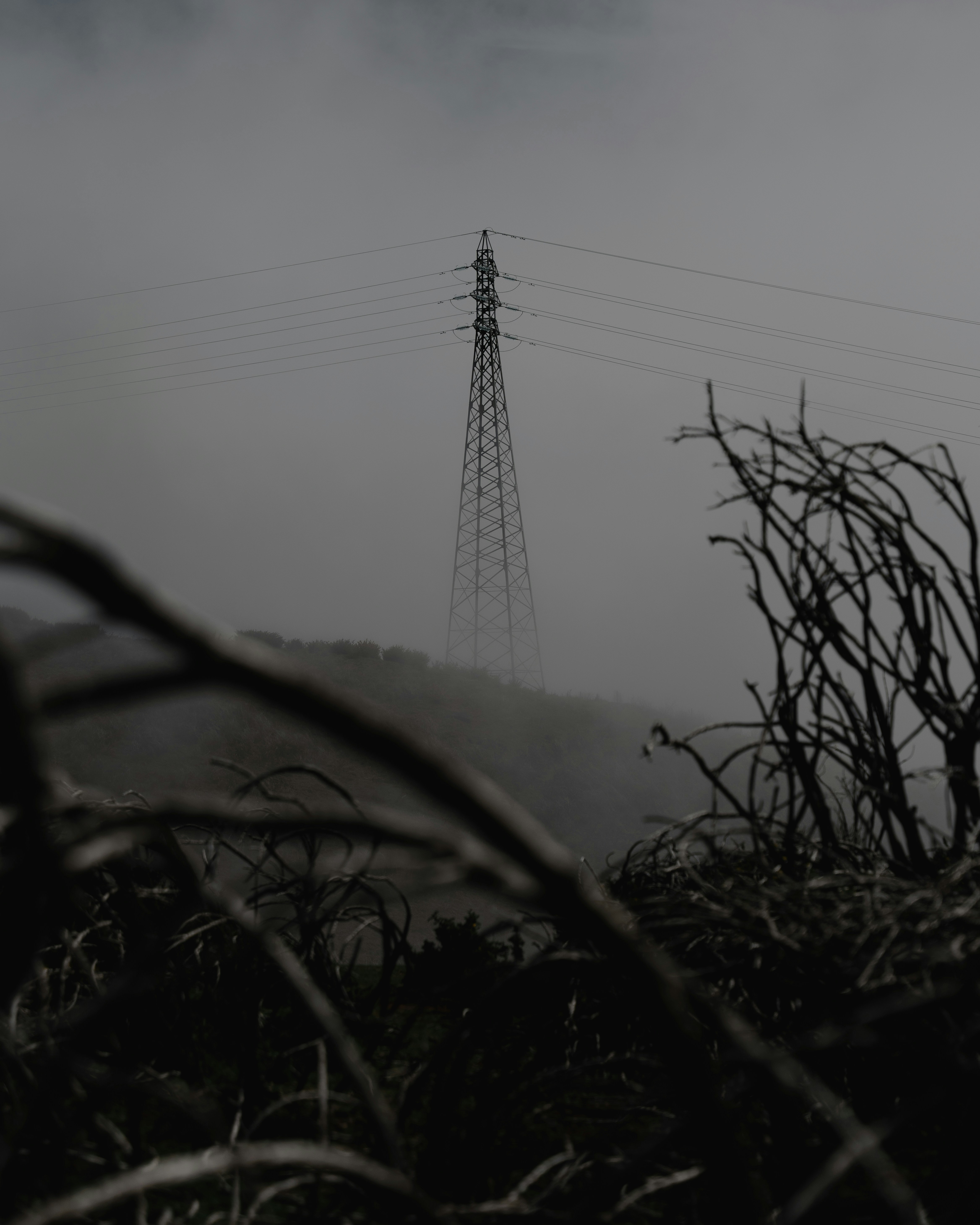 Une ligne électrique se dresse dans un paysage brumeux.