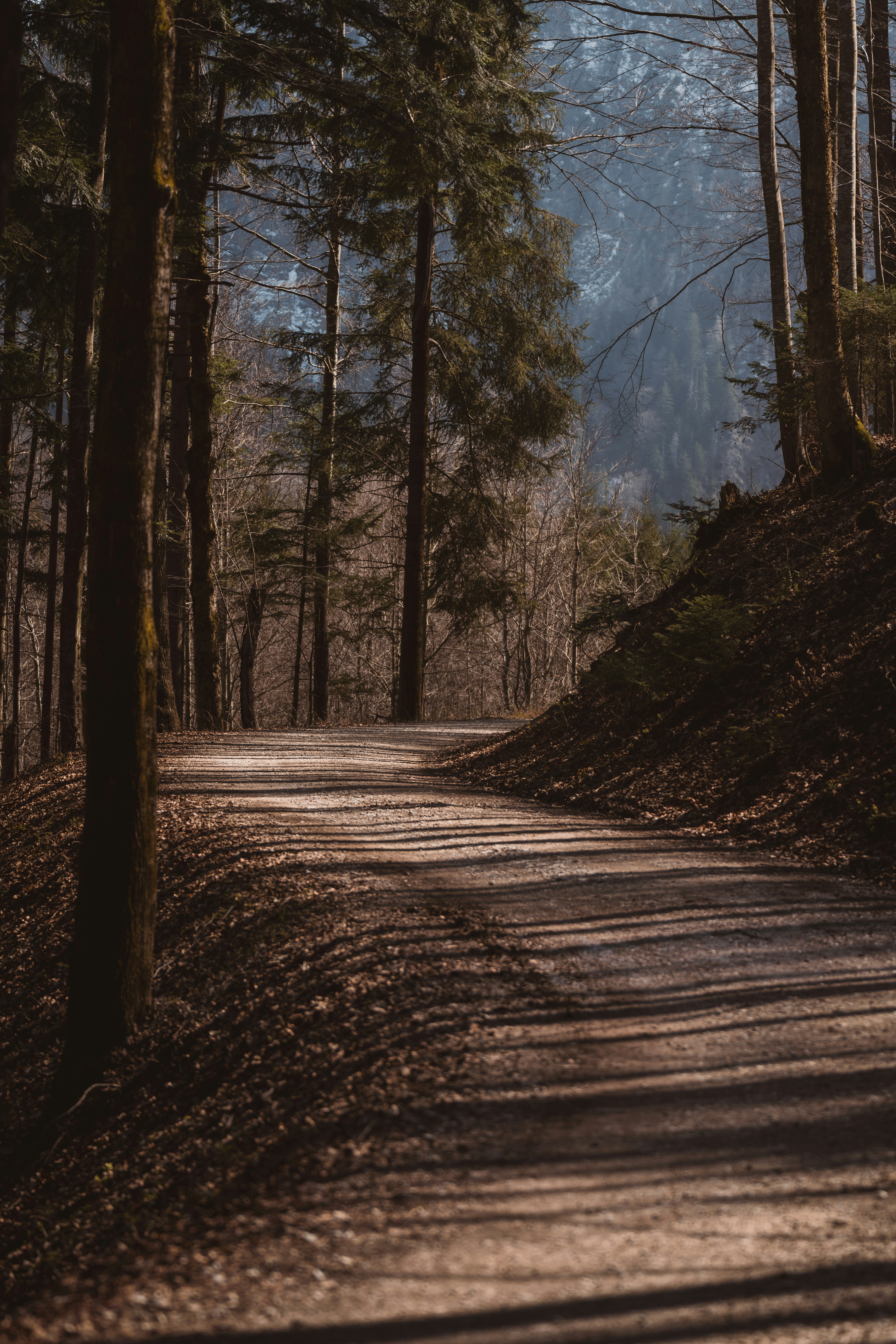 Photo by ahmetyuksek