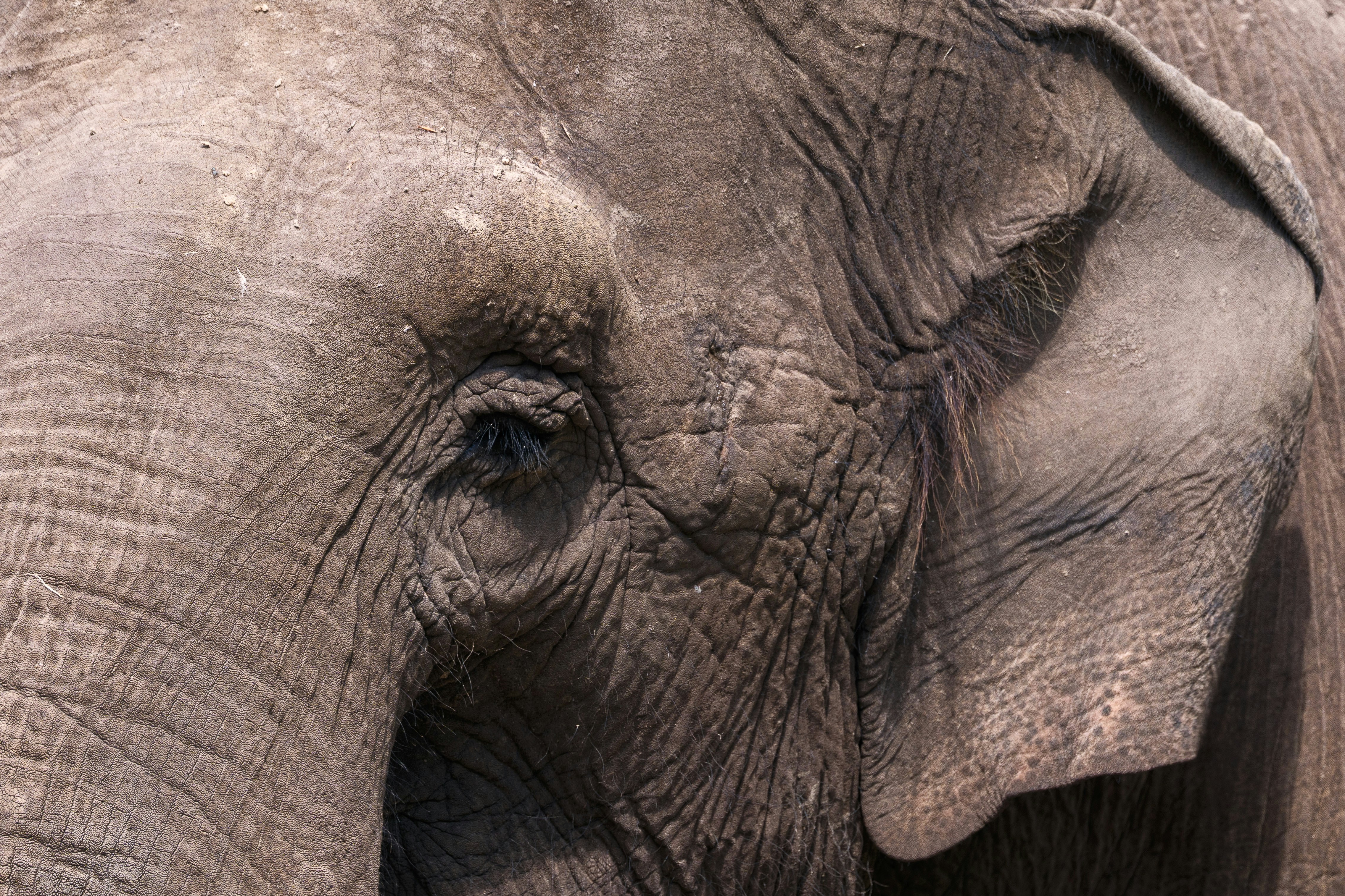 Photo by haberdoedas