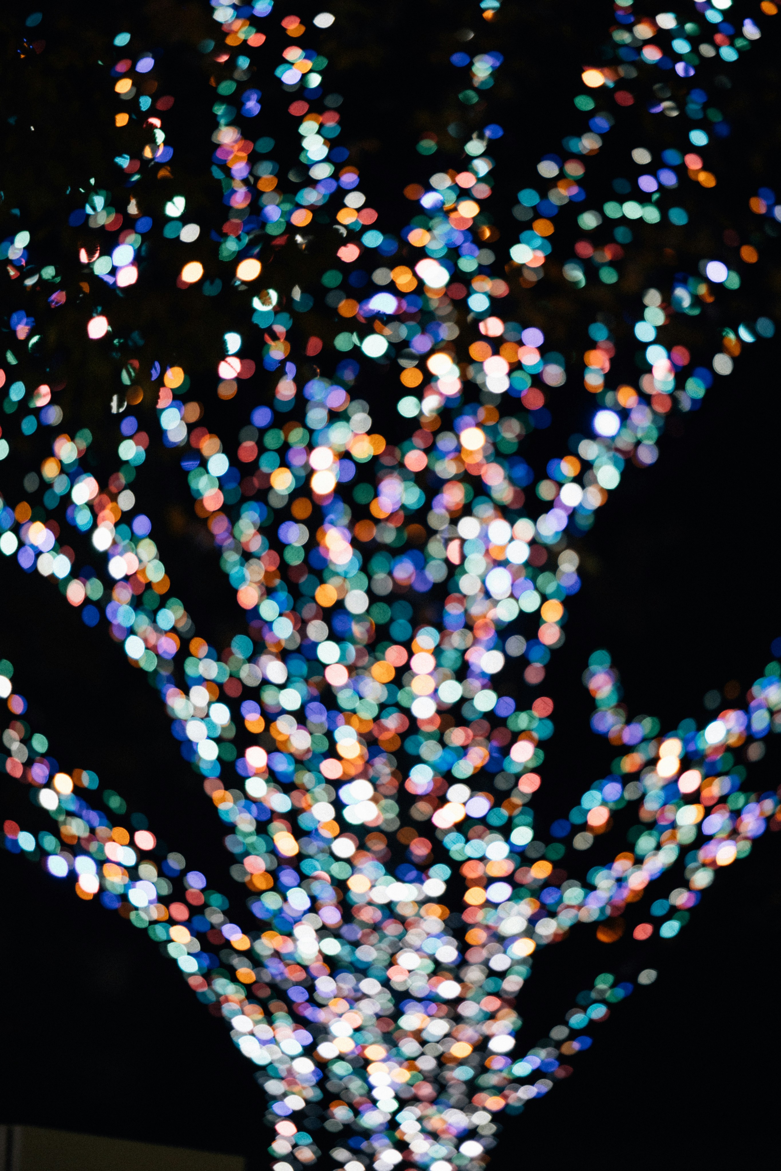 Photo by tsuyoshikozu