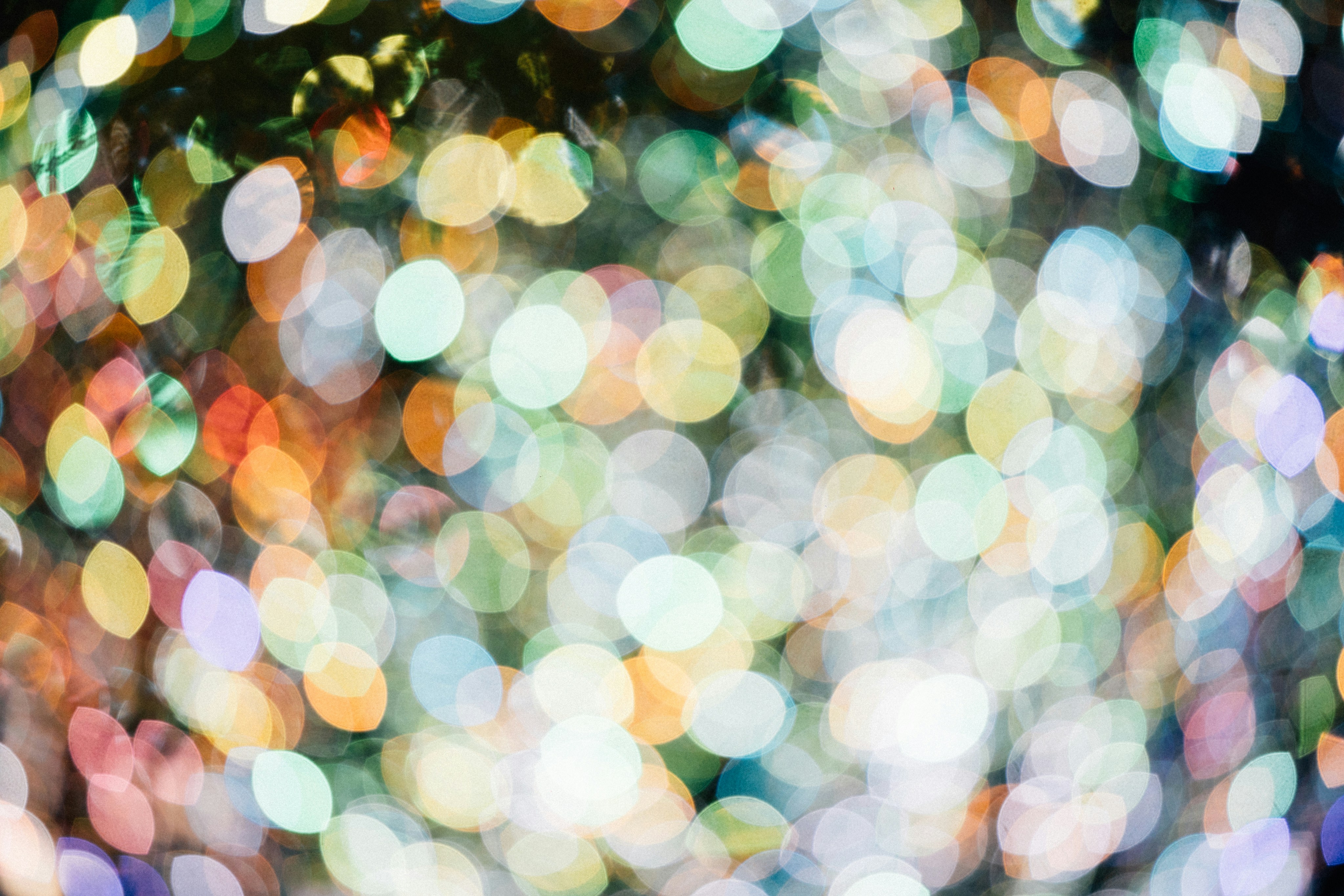 Photo by tsuyoshikozu