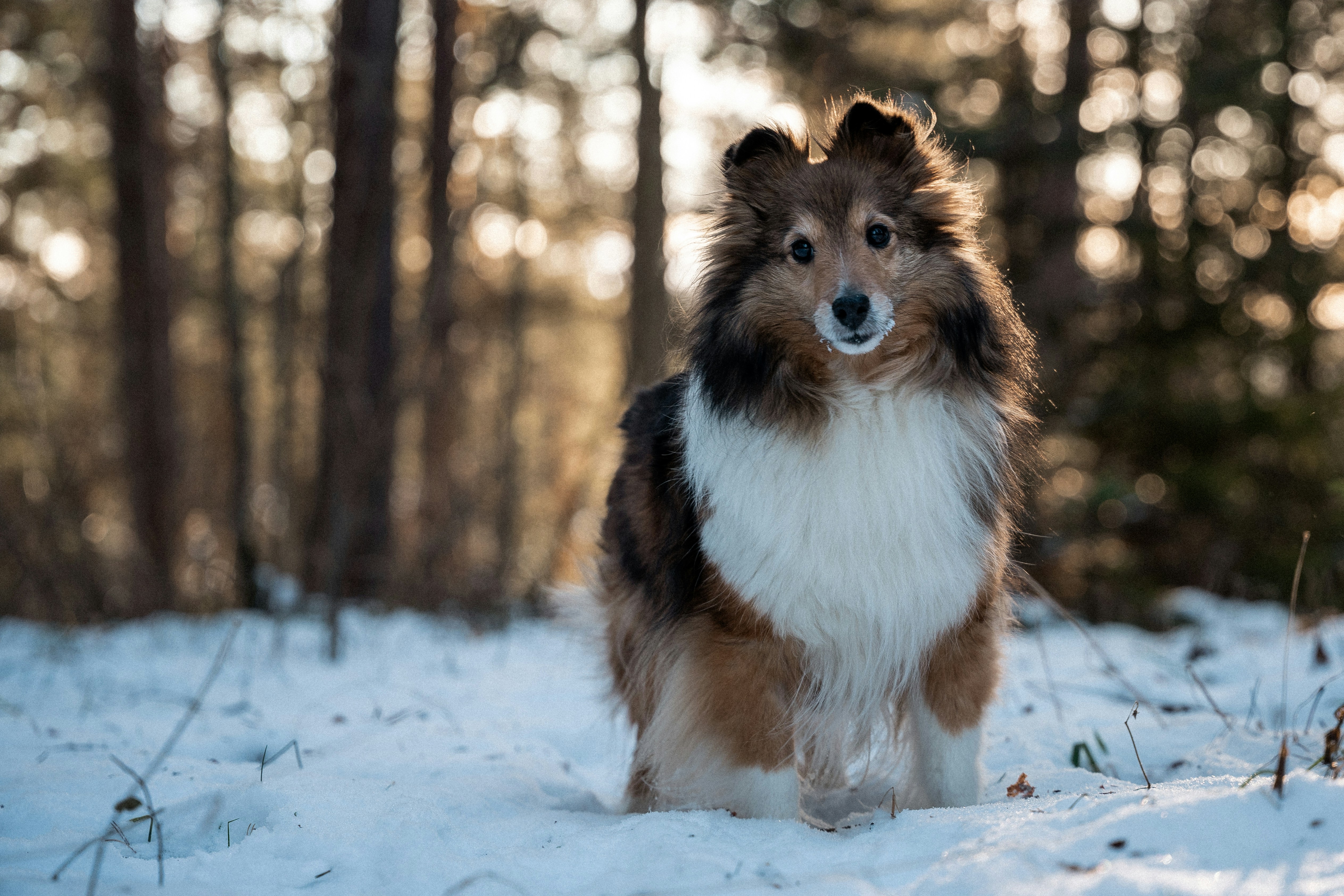 Photo by trfotografi