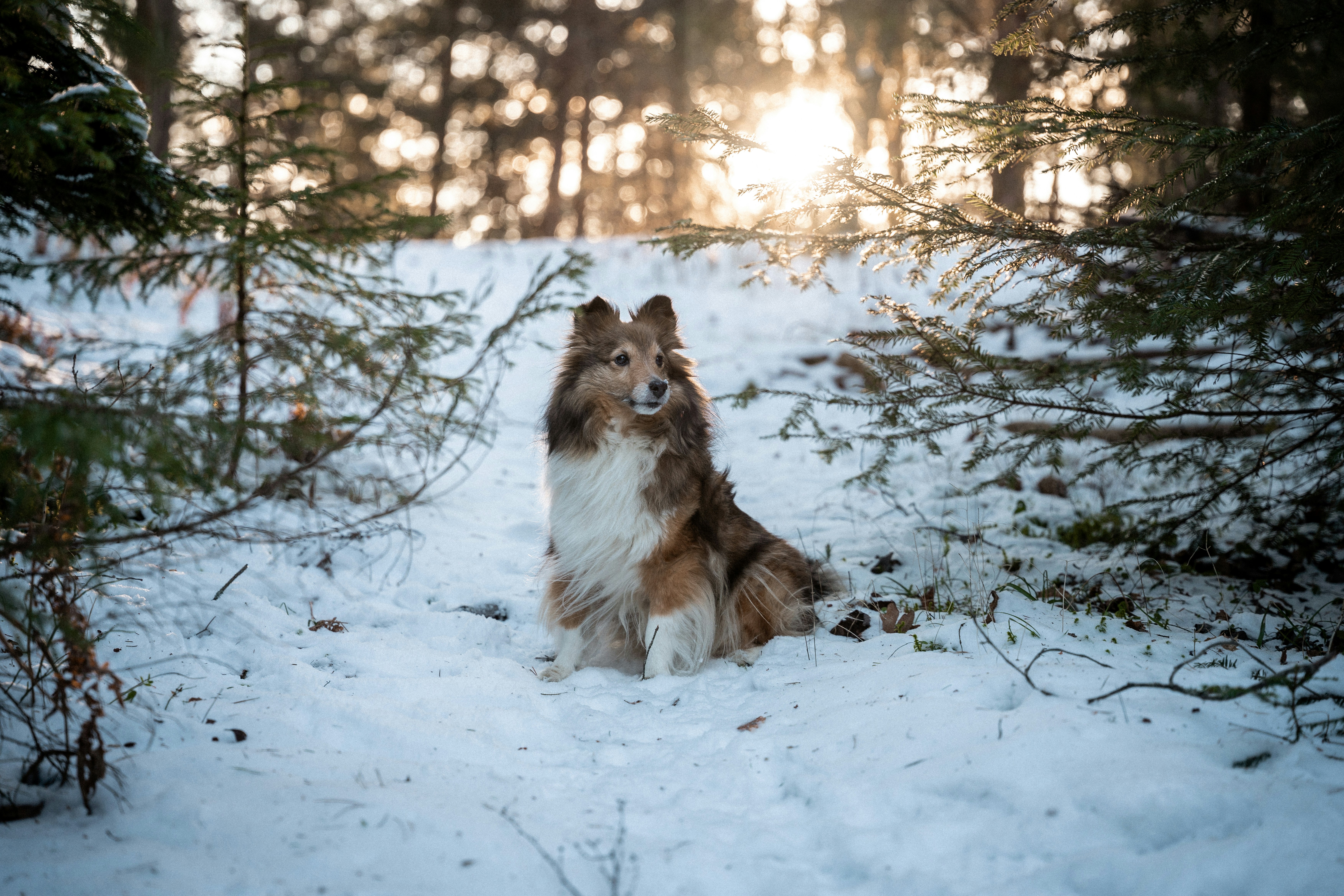 Photo by trfotografi