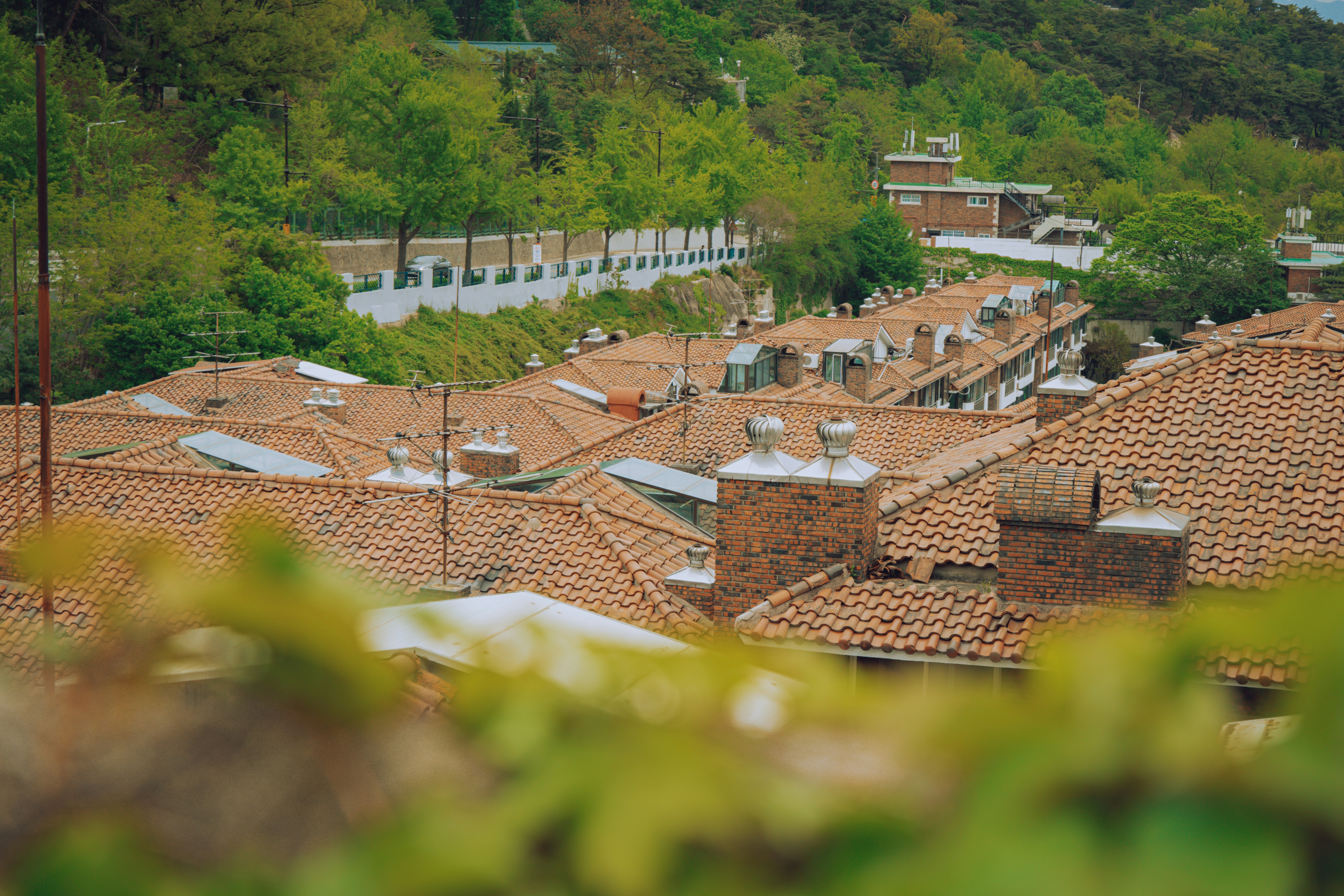 Photo by brother_yoon