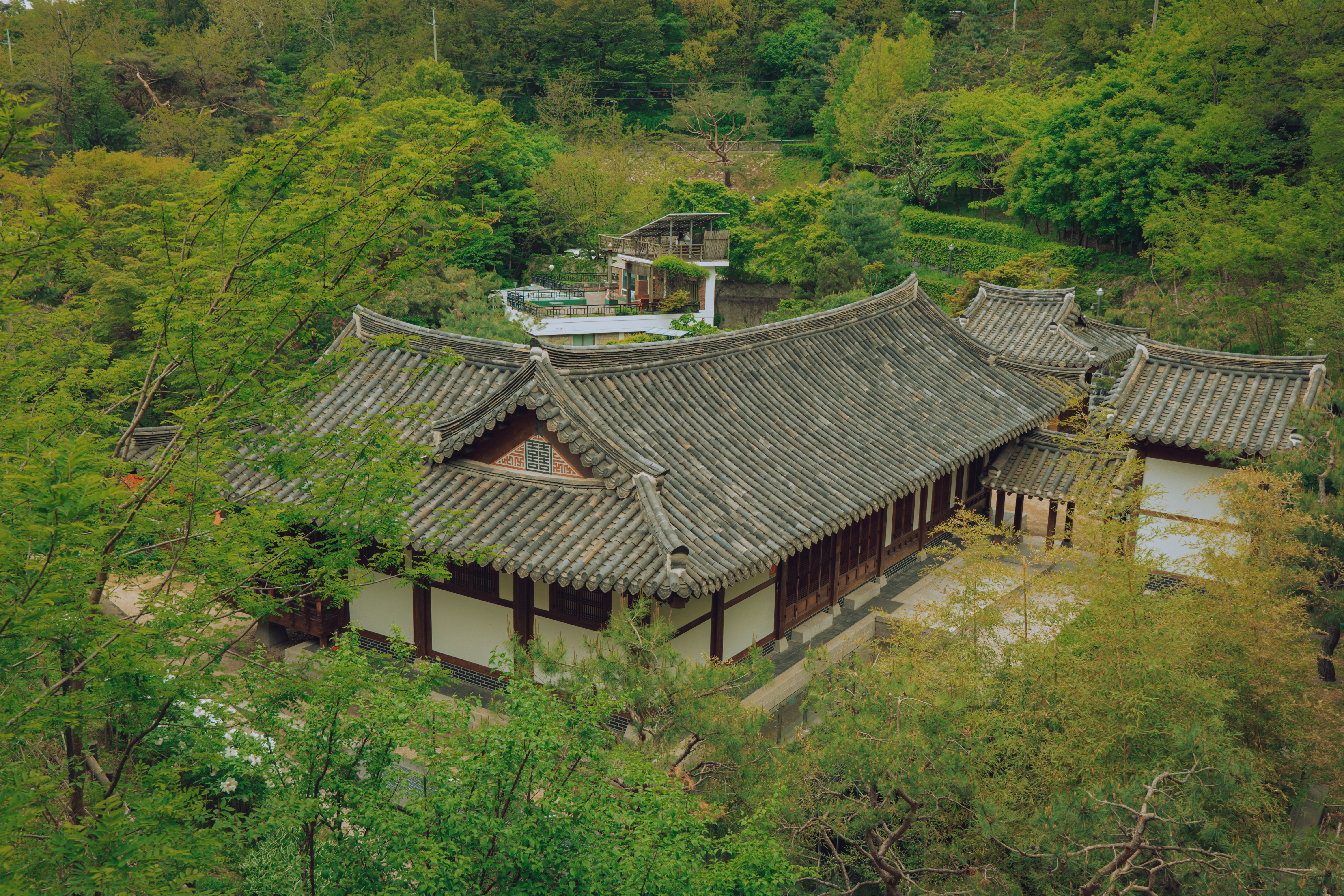 Photo by brother_yoon