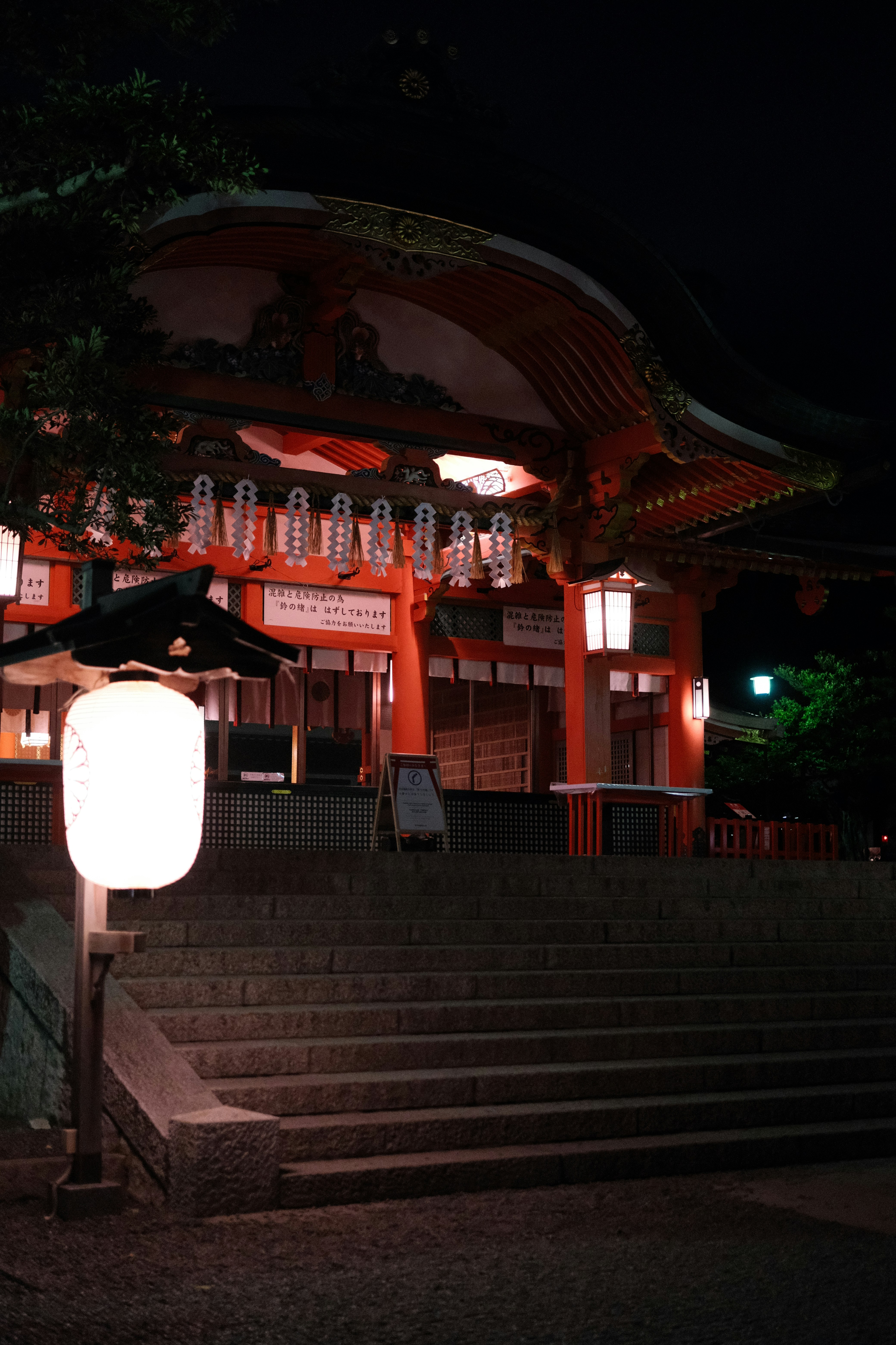 Illuminated temple garden at night