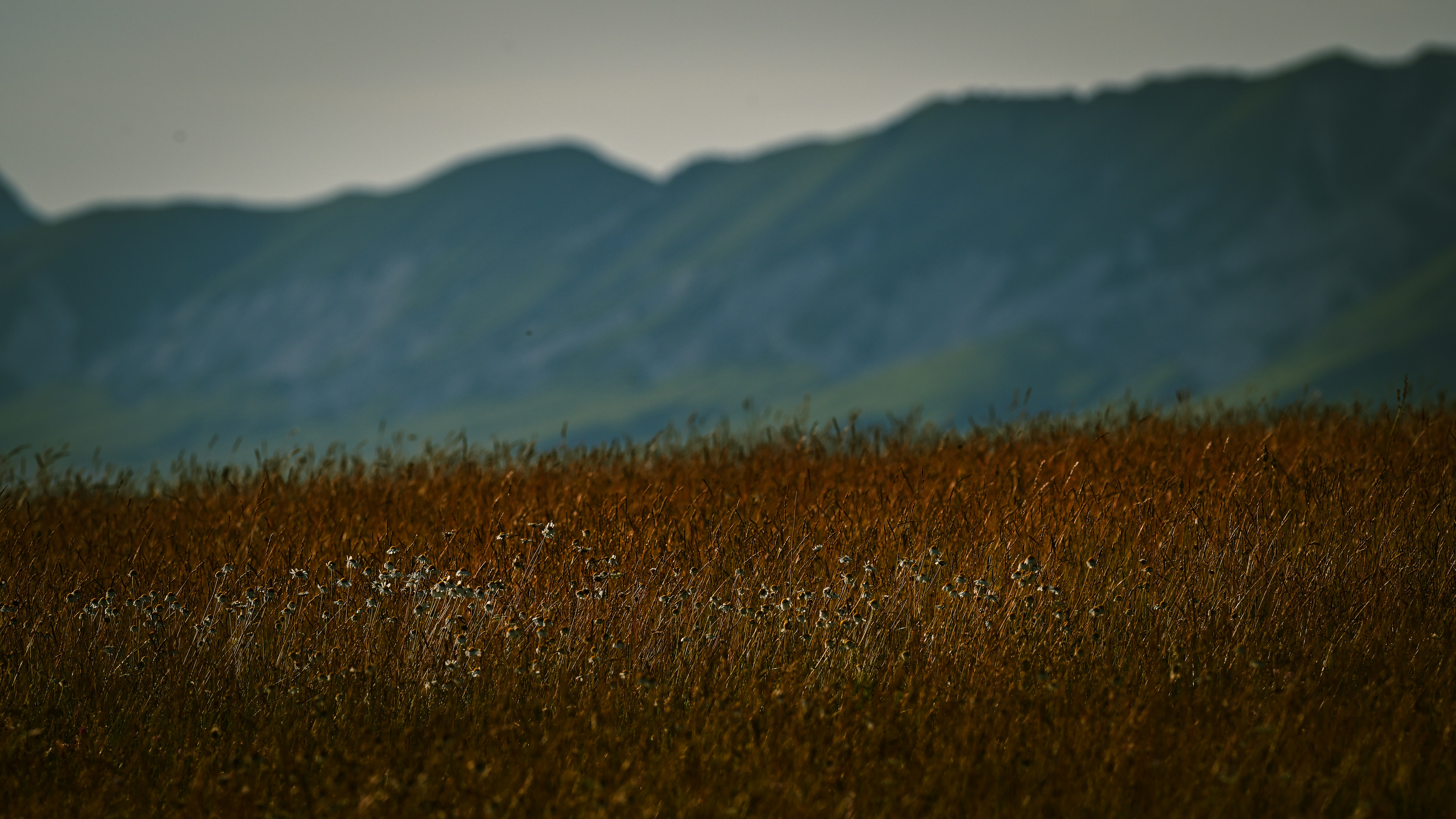Photo by lucaakalu